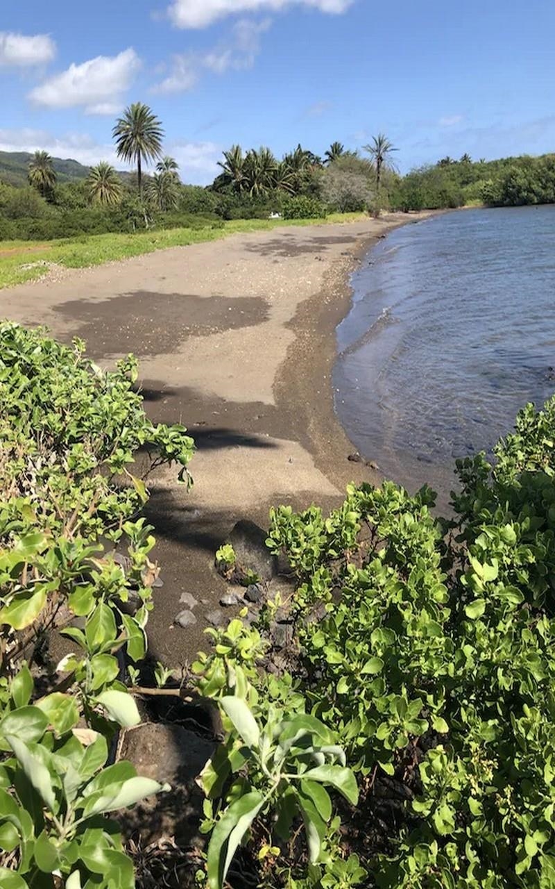 7142 Kamehameha V Hwy Property Photo 25