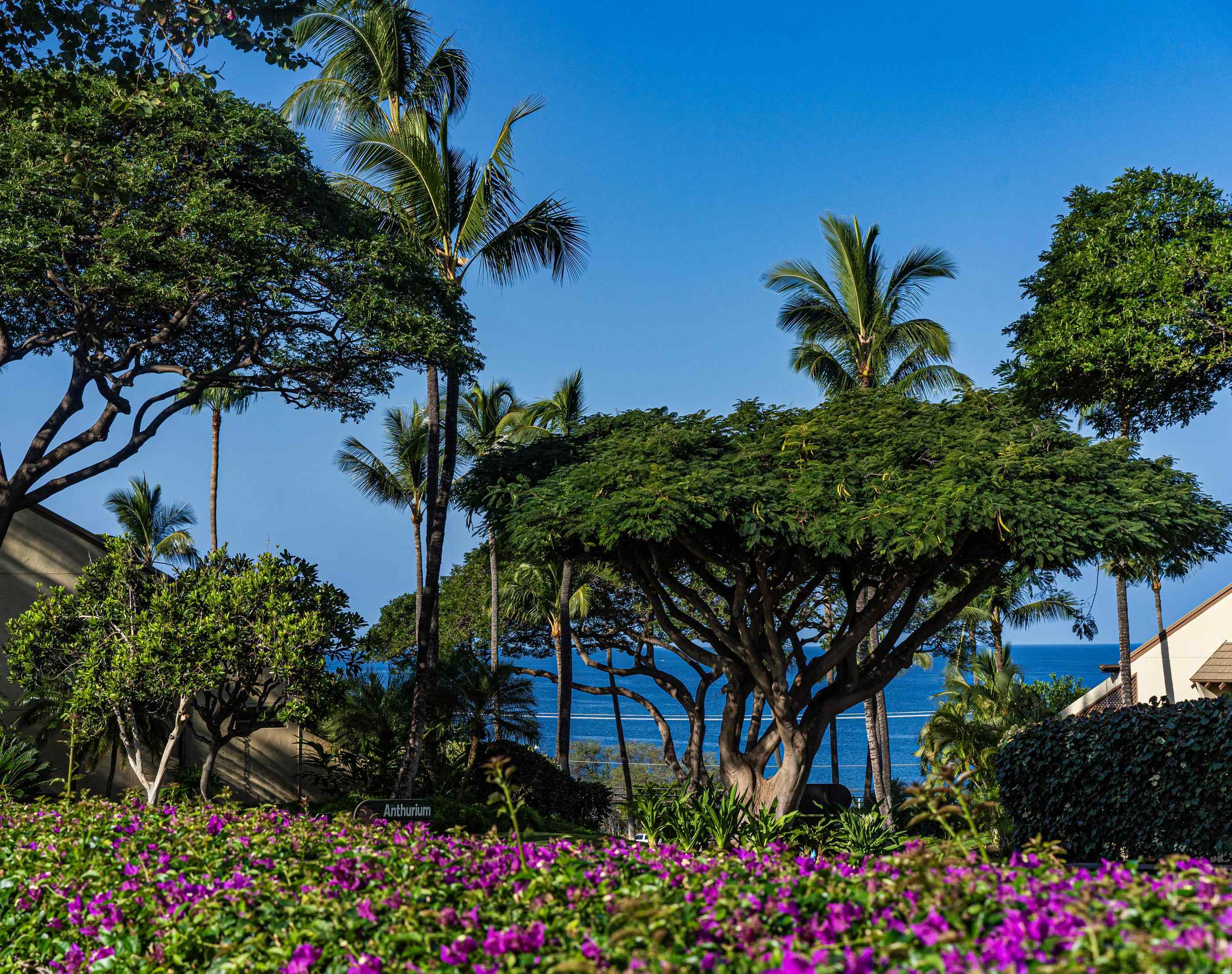 2777 S Kihei Rd Property Photo 2