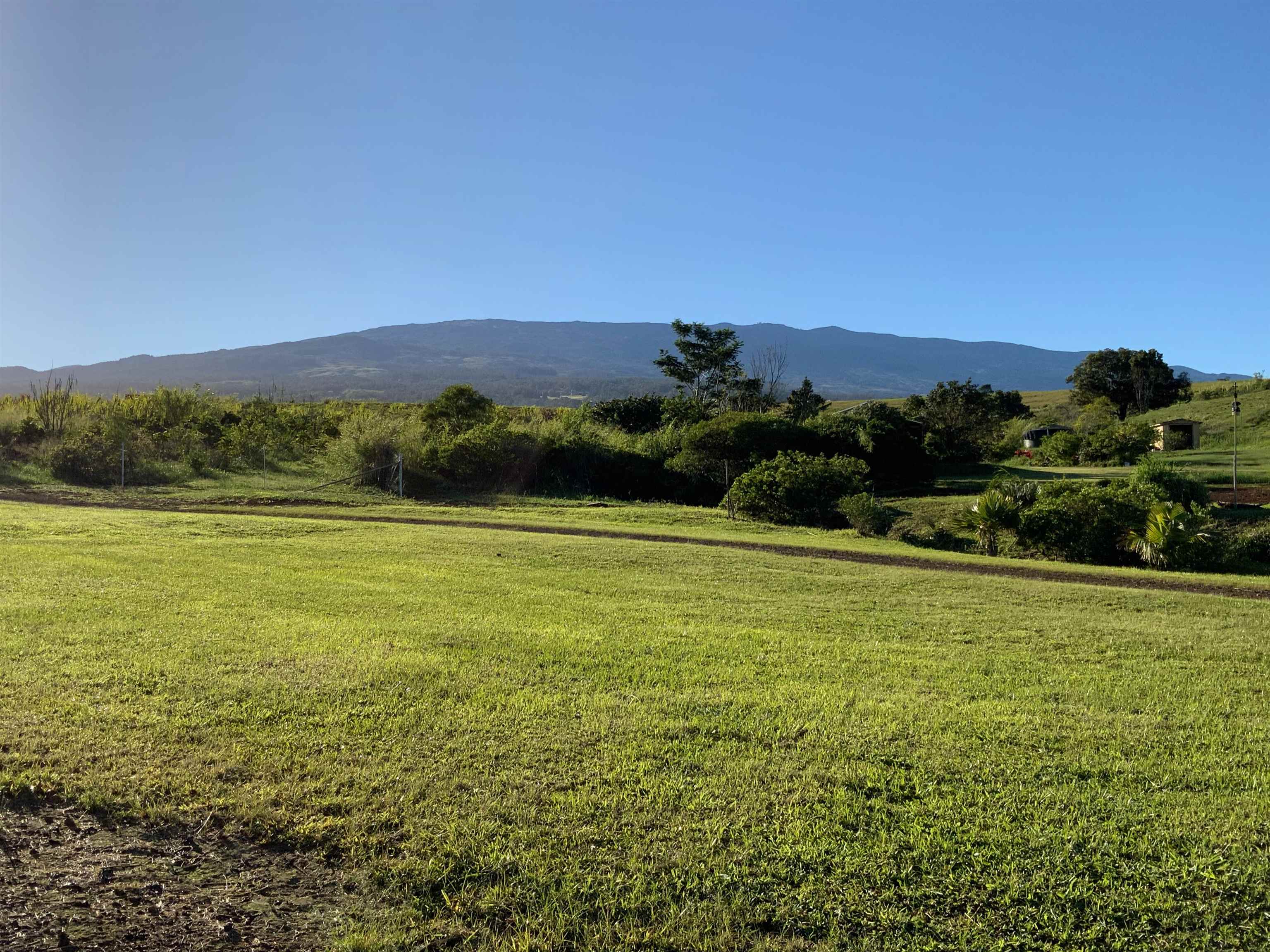 810 Piiholo Rd Property Photo 49