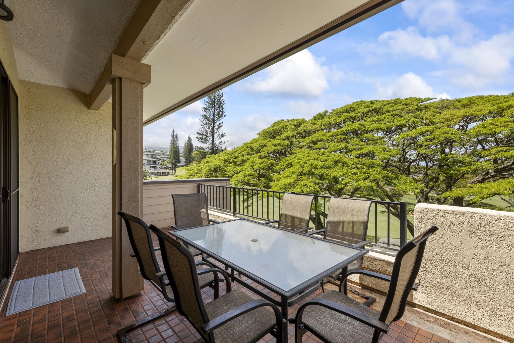 500 Kapalua Dr Property Photo 29