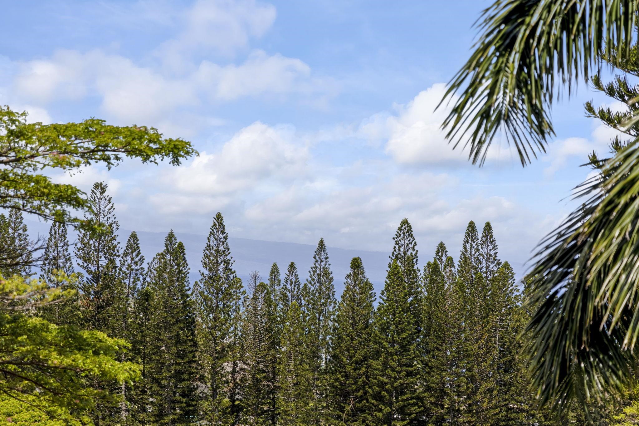 500 Kapalua Dr Property Photo 31