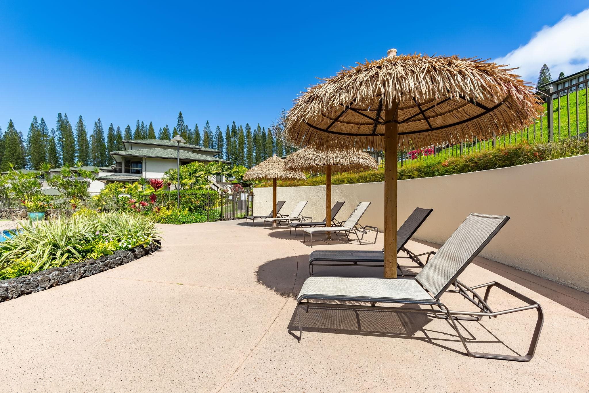 500 Kapalua Dr Property Photo 34