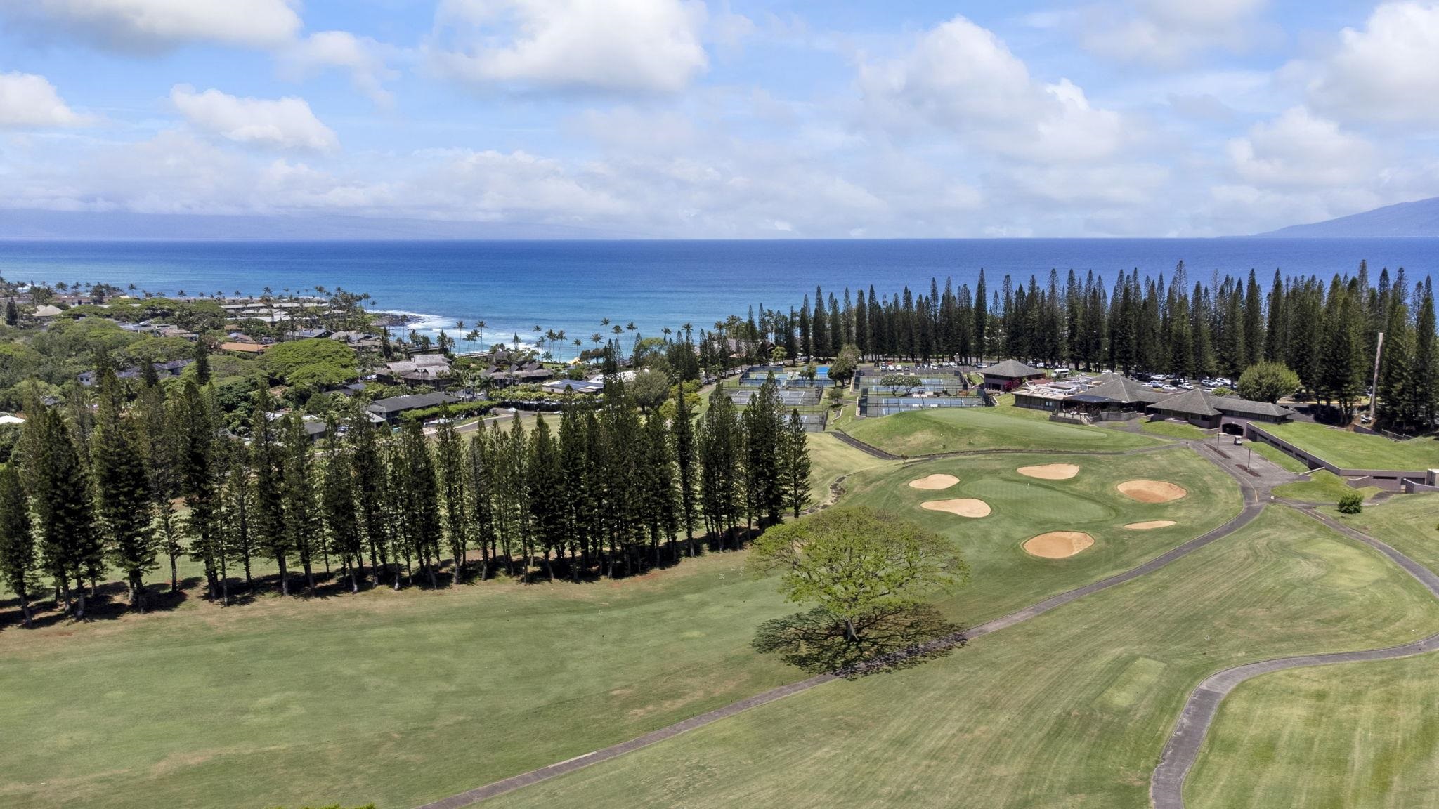 500 Kapalua Dr Property Photo 38