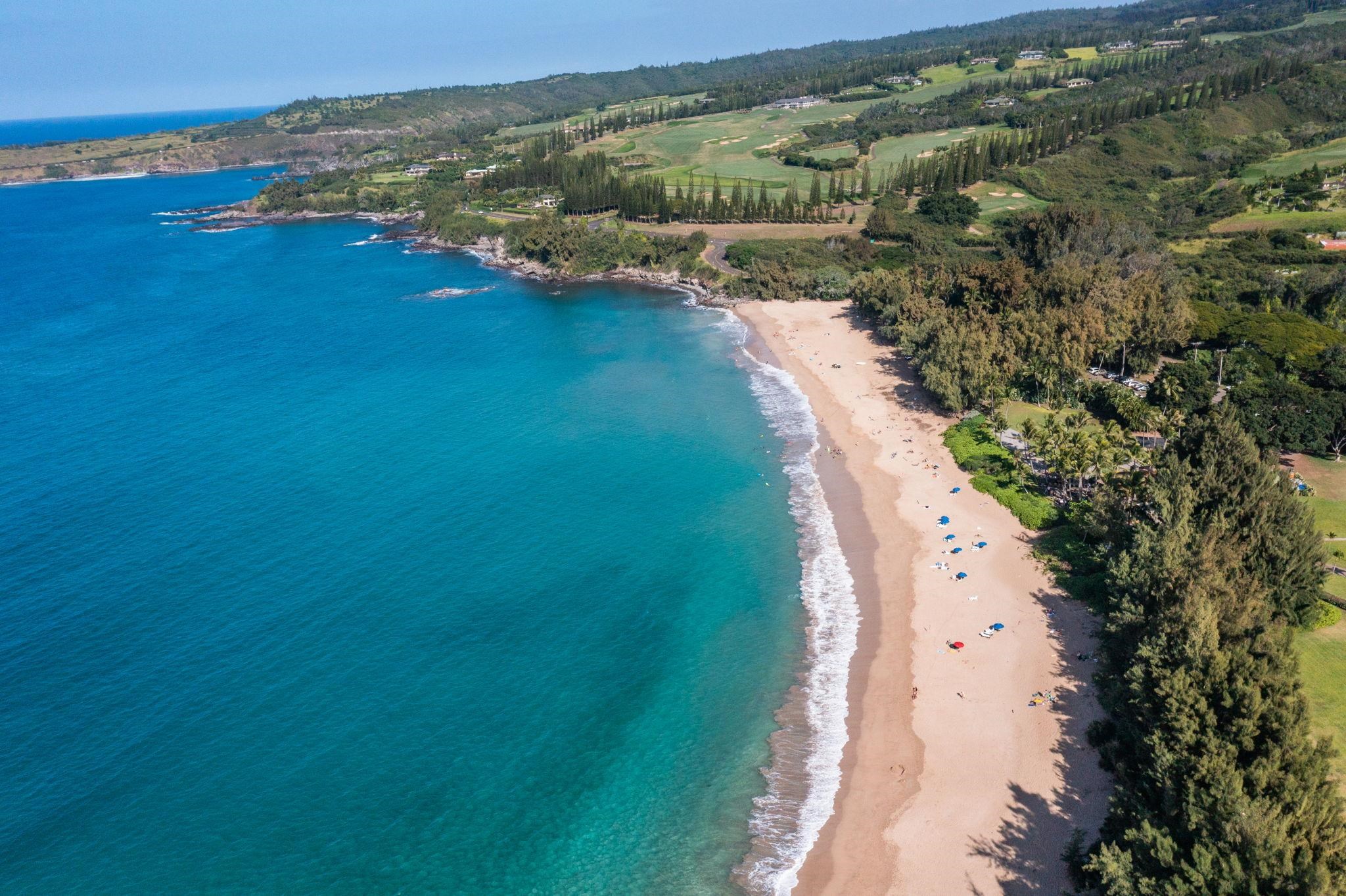 500 Kapalua Dr Property Photo 39