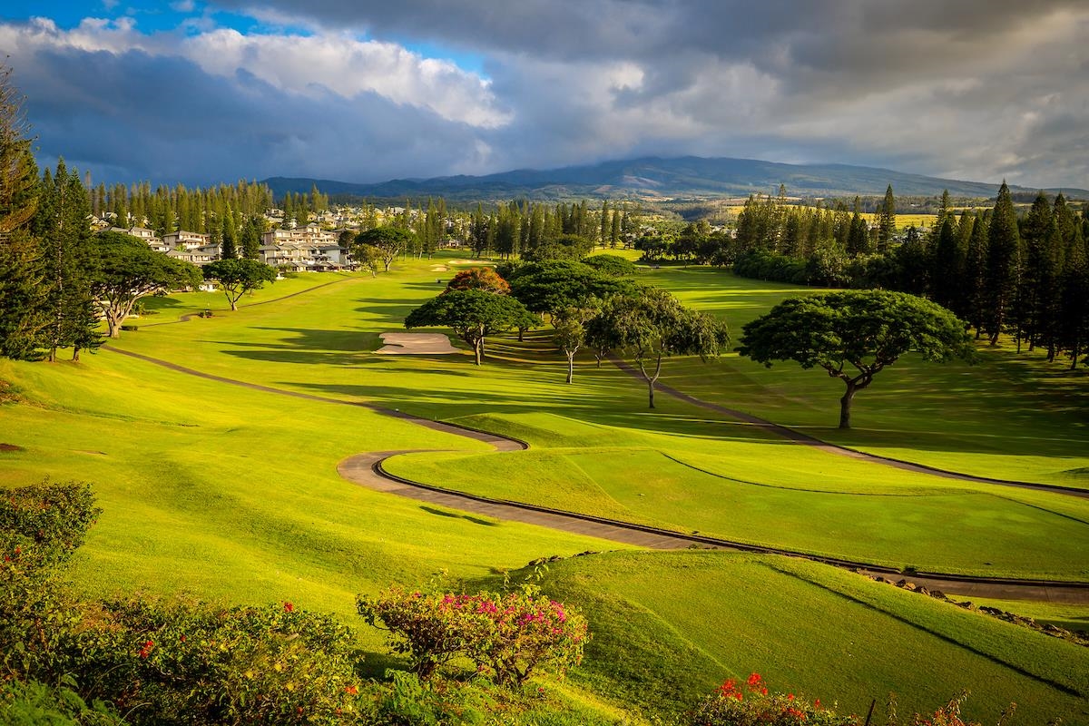 500 Kapalua Dr Property Photo 14