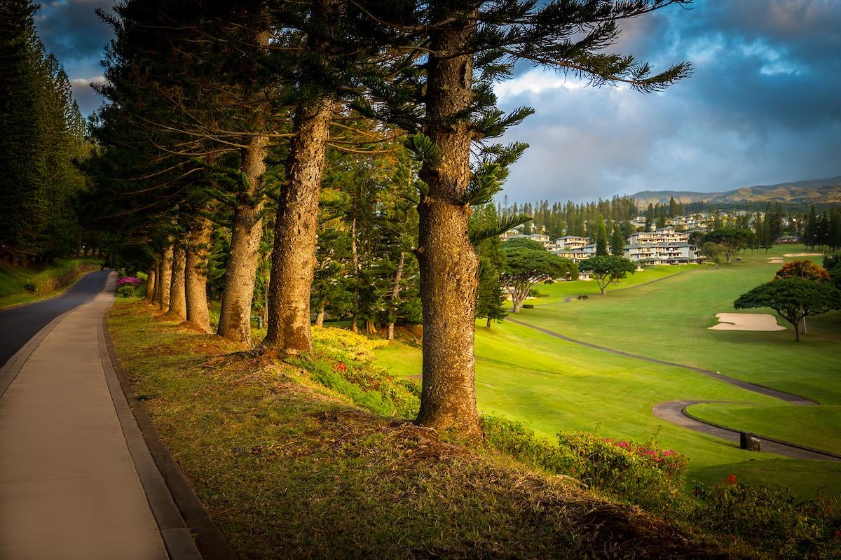 500 Kapalua Dr Property Photo 15