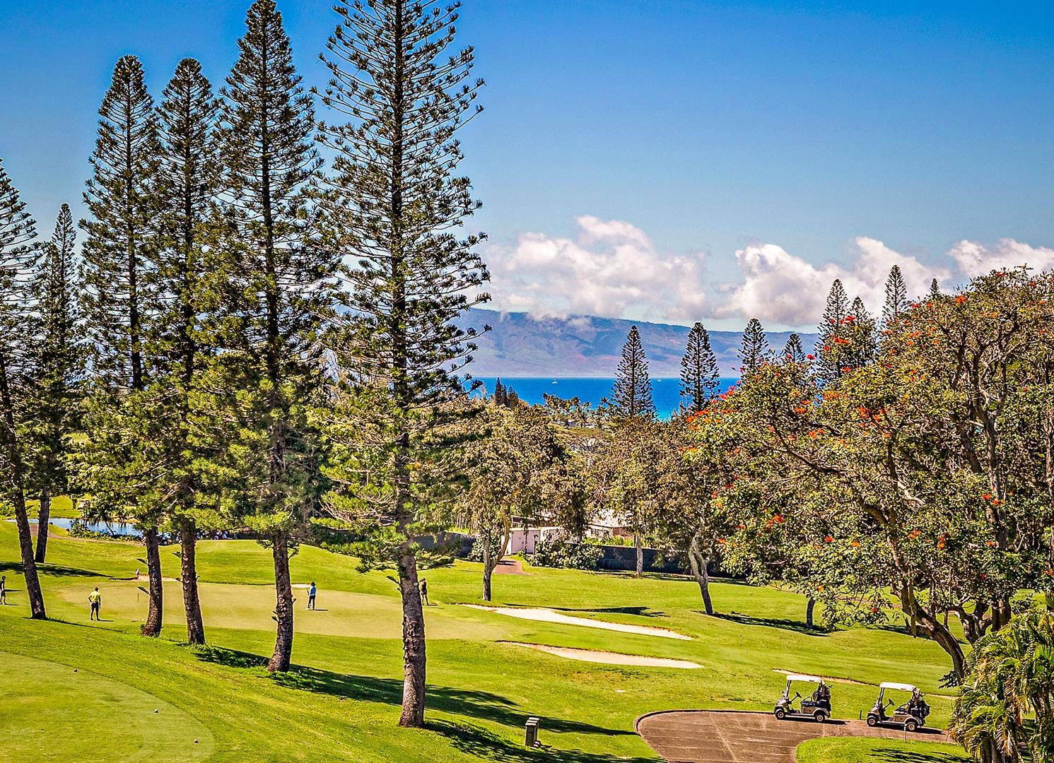 500 Kapalua Dr Property Photo 16