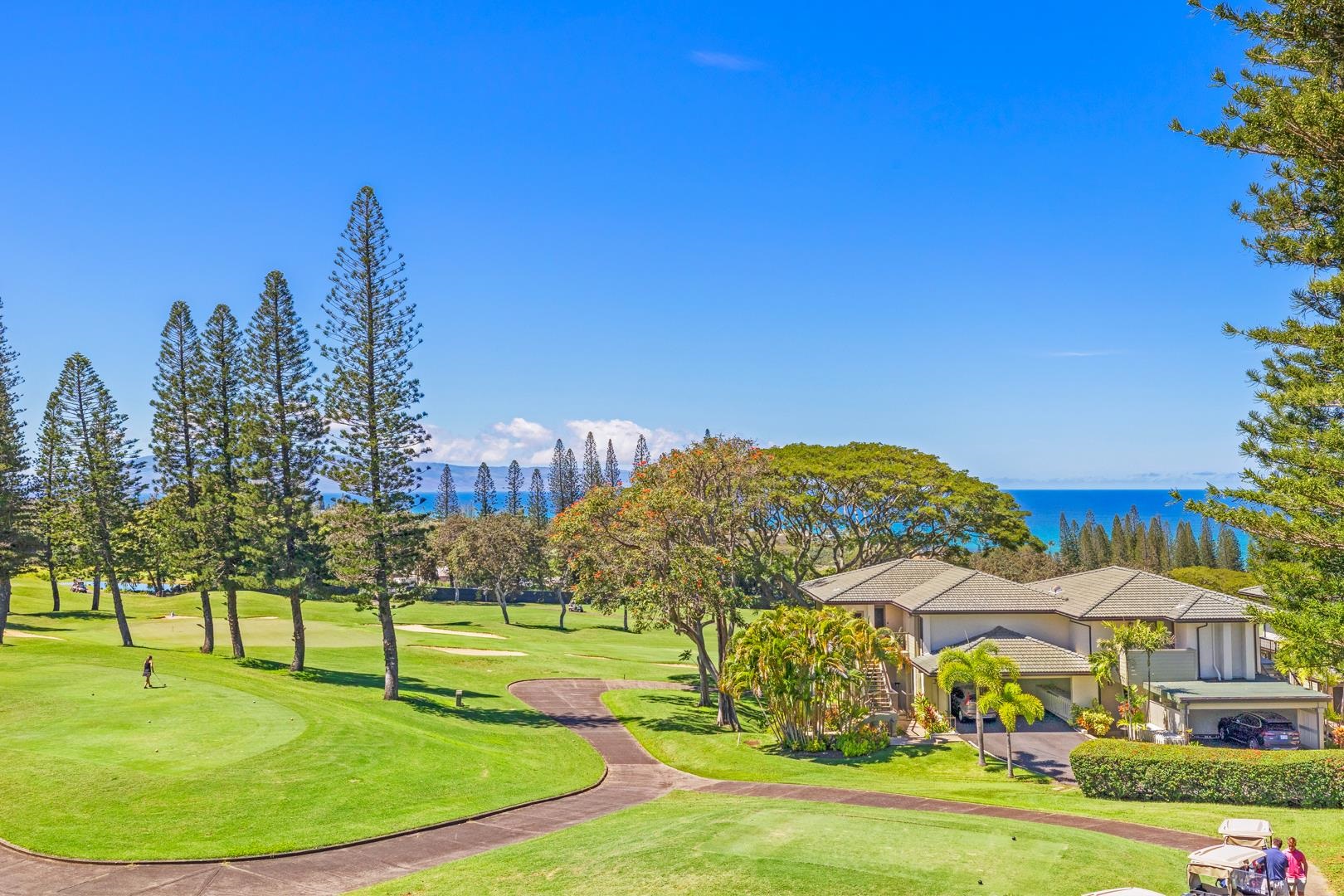 500 Kapalua Dr Property Photo 17