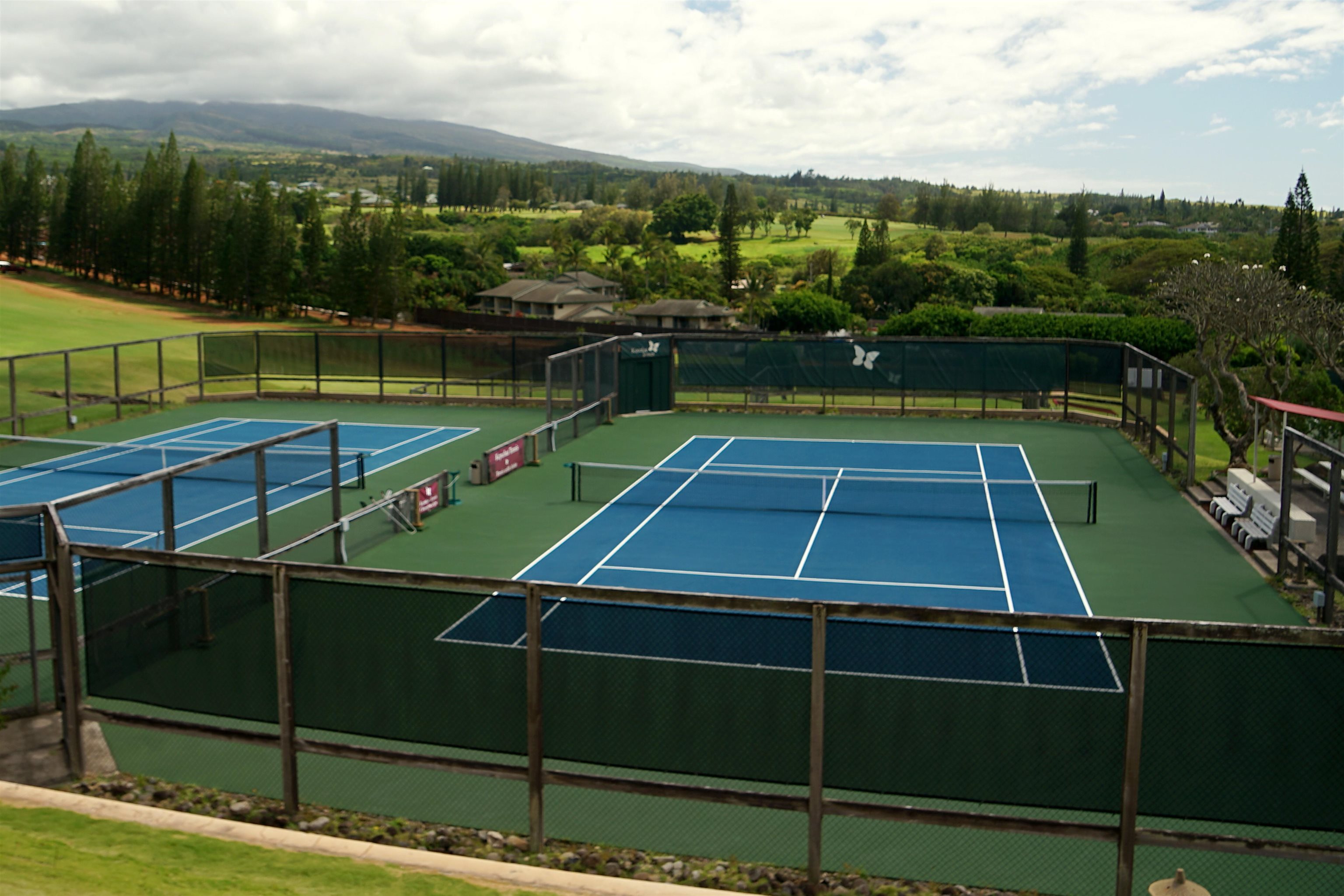 500 Kapalua Dr Property Photo 45