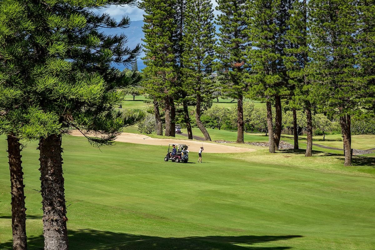 500 Kapalua Dr Property Photo 48