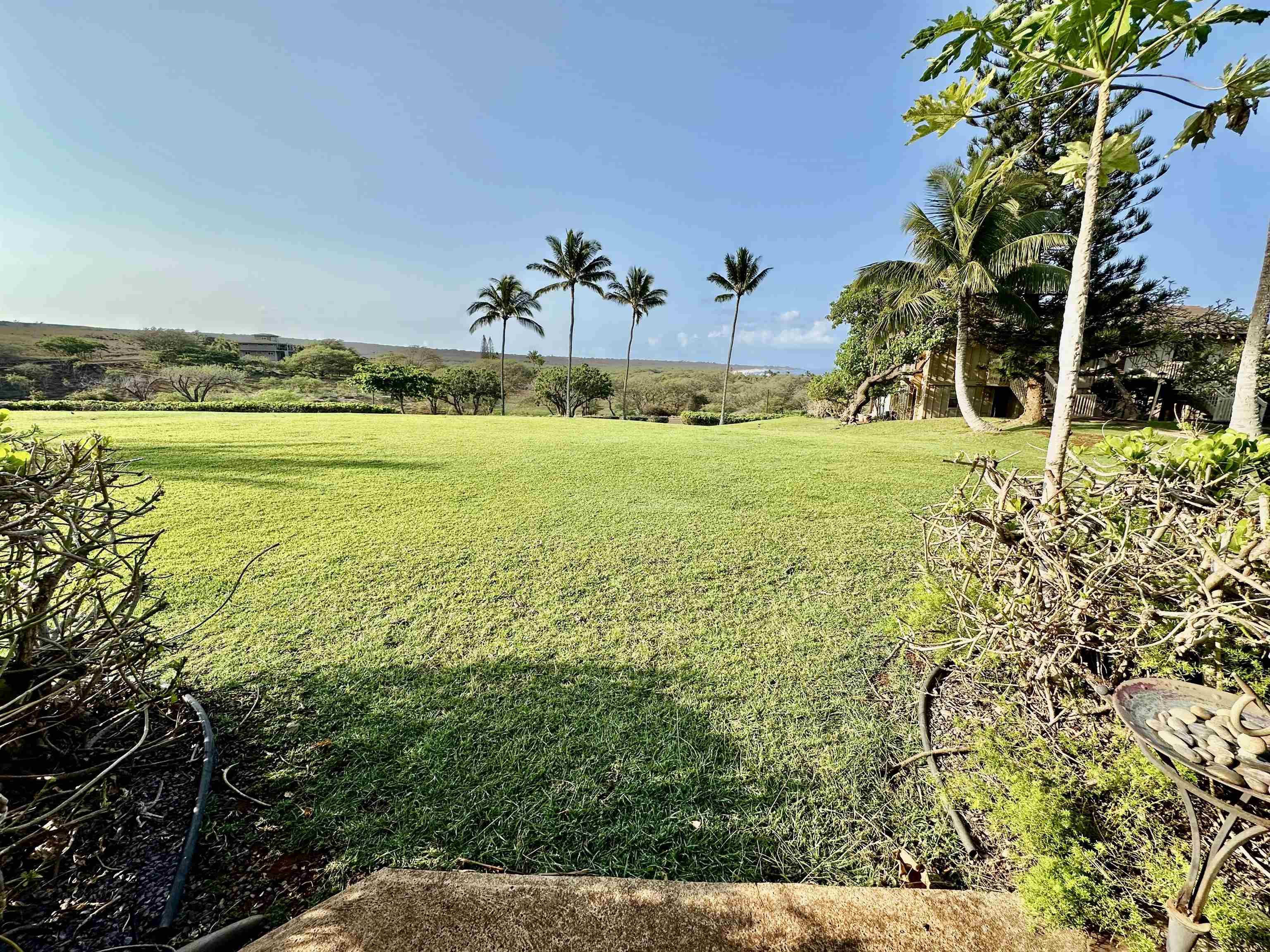 50 Kepuhi Pl Property Photo 27