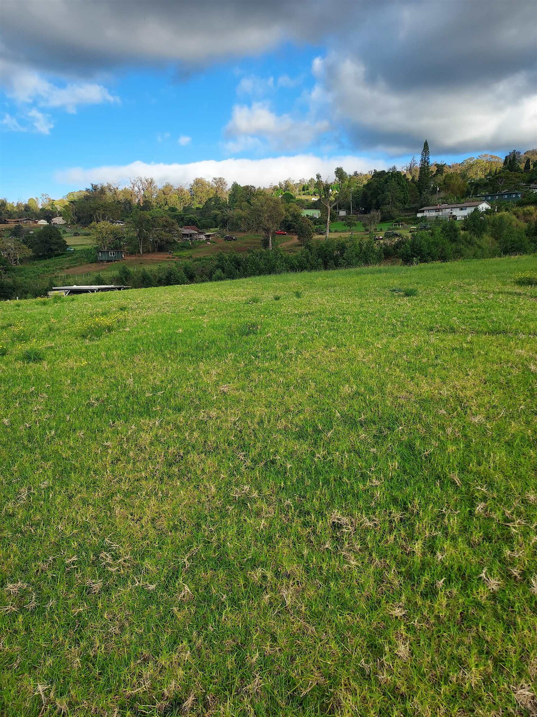 1180 Olinda Rd Property Photo 20