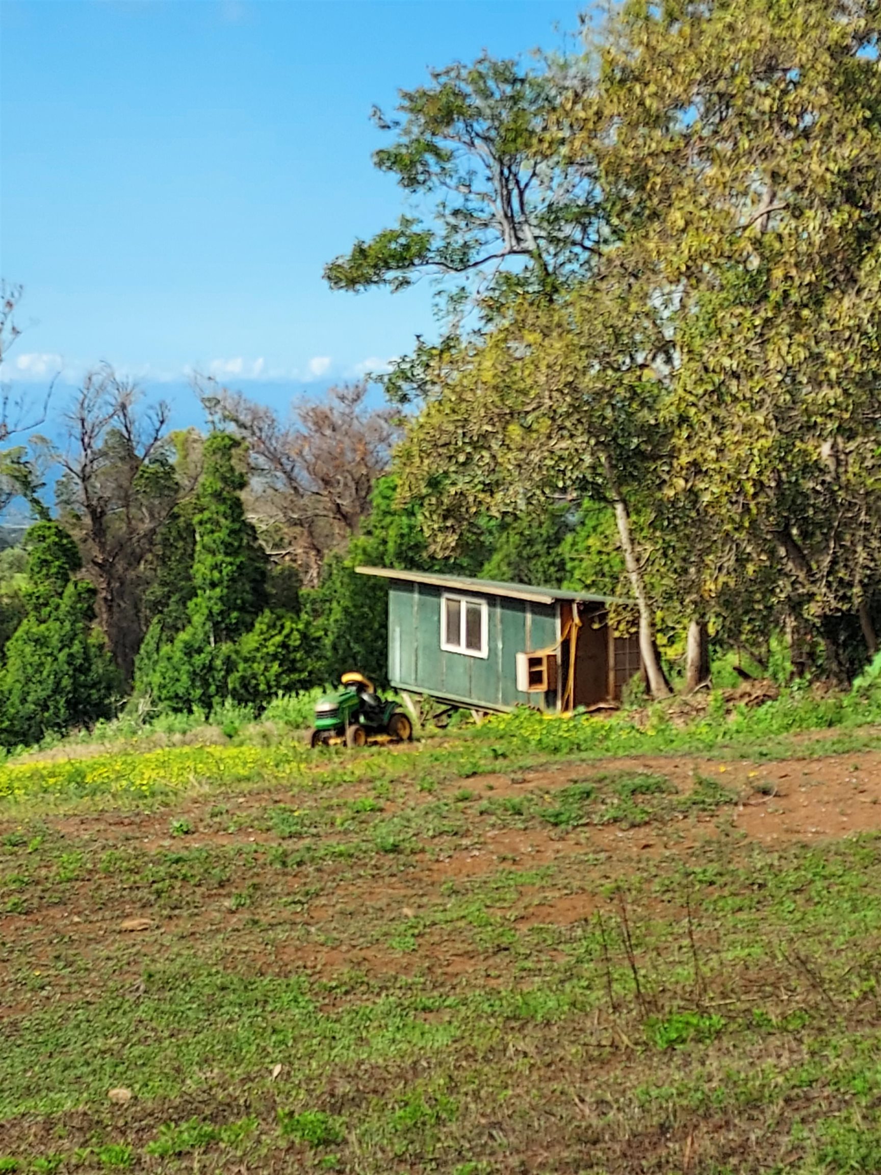 1180 Olinda Rd Property Photo 31