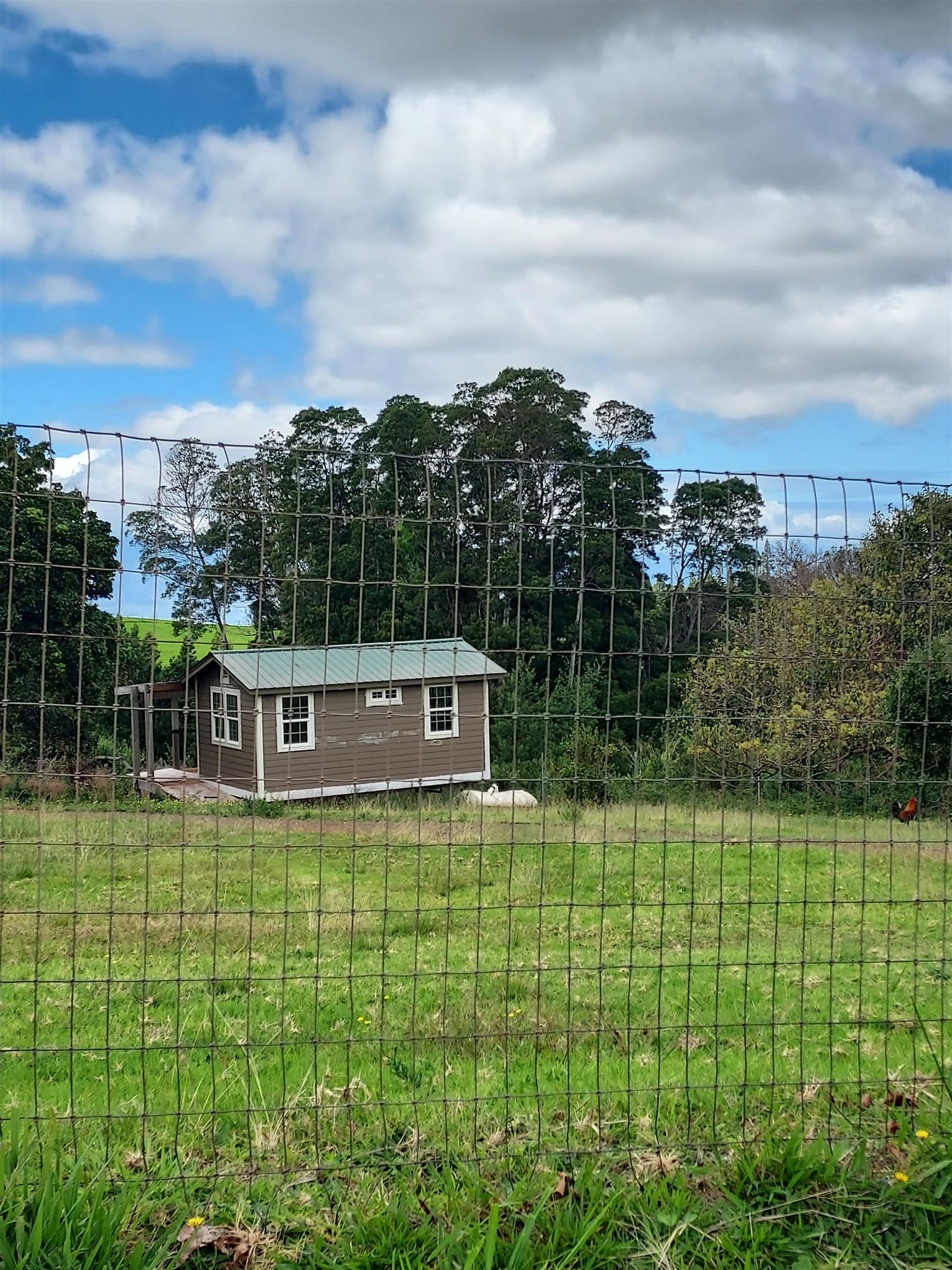 1180 Olinda Rd Property Photo 35