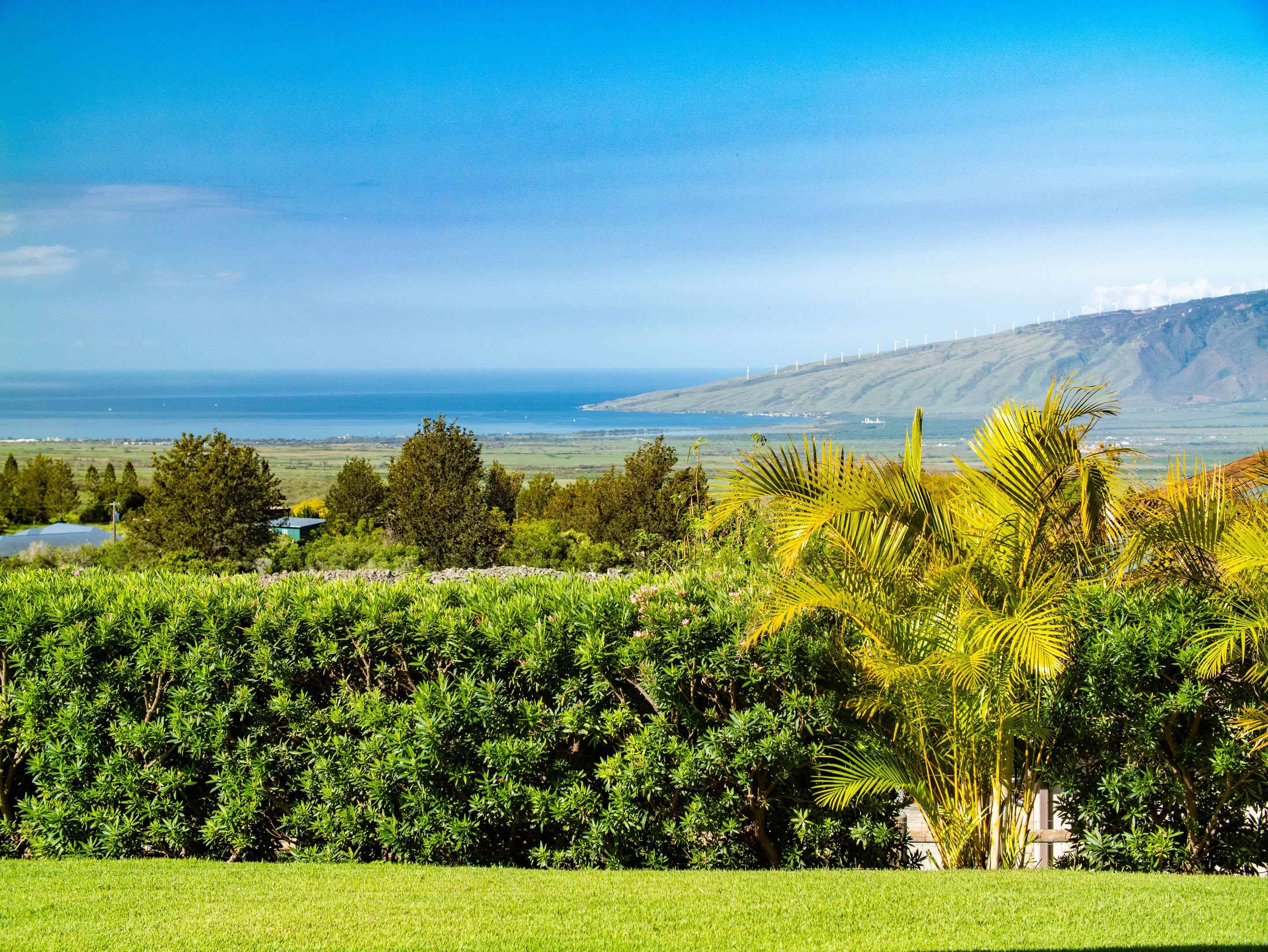 197 Lei Ohu Cir Property Photo 18
