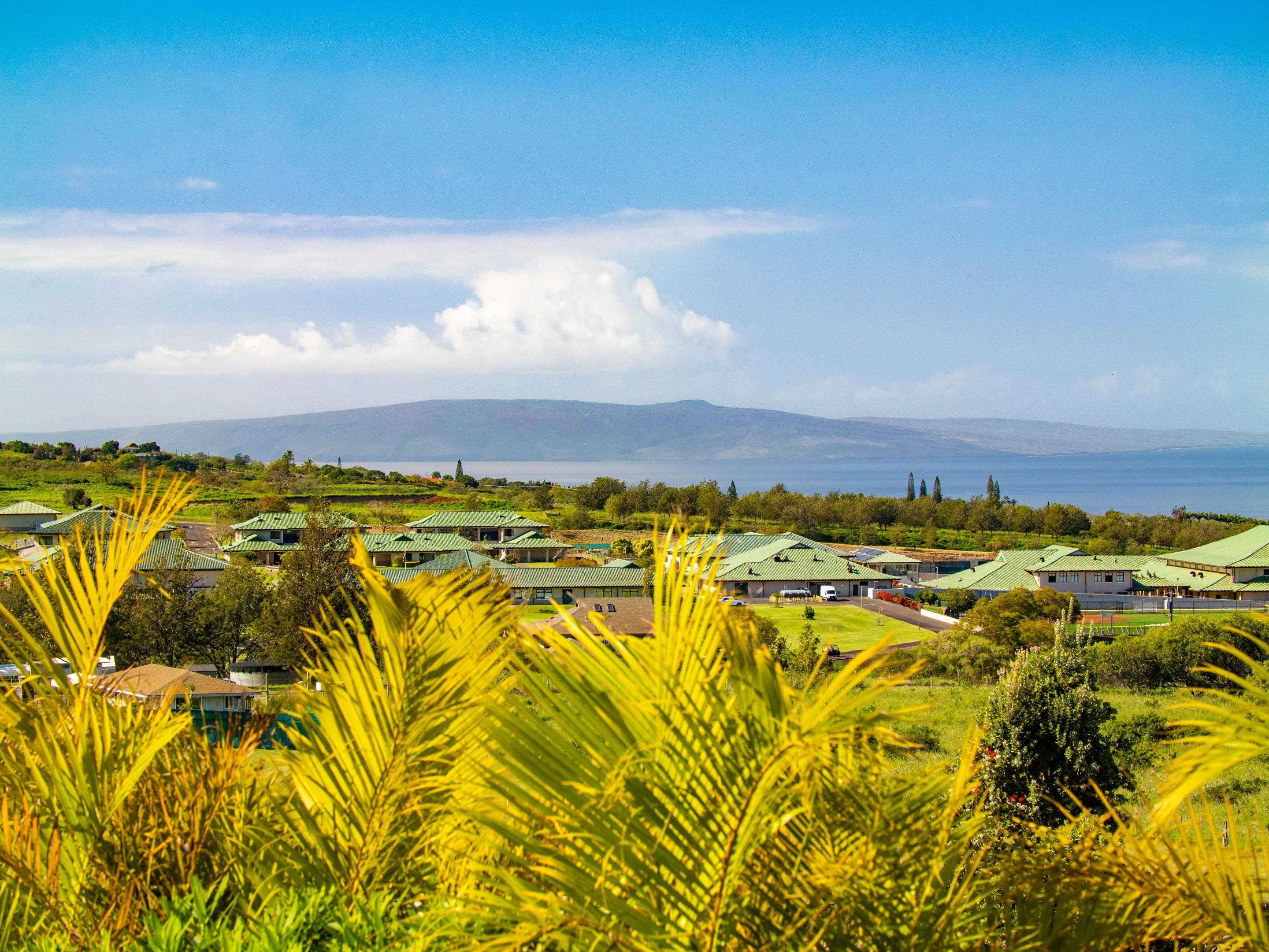 197 Lei Ohu Cir Property Photo 19