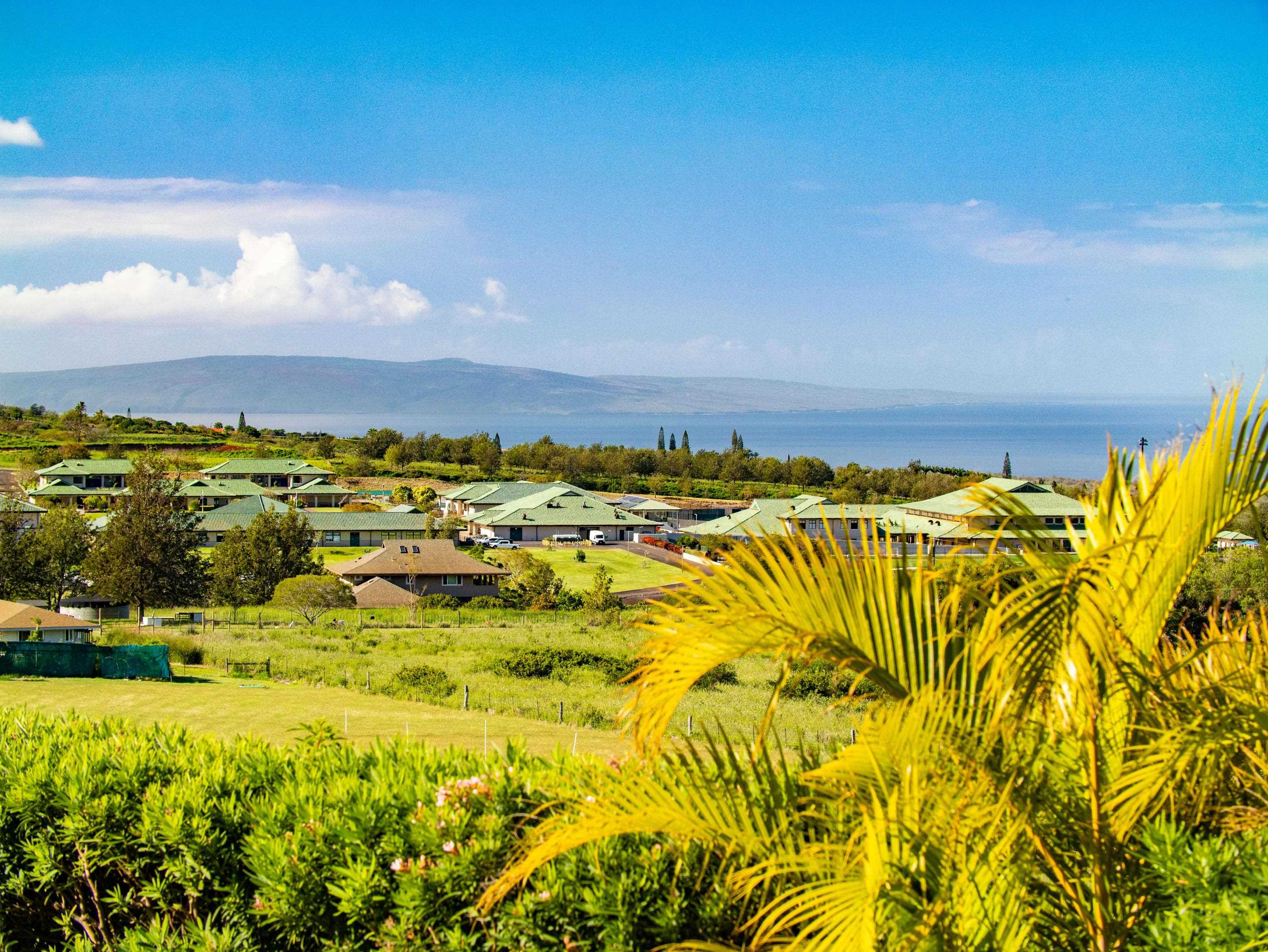 197 Lei Ohu Cir Property Photo 25