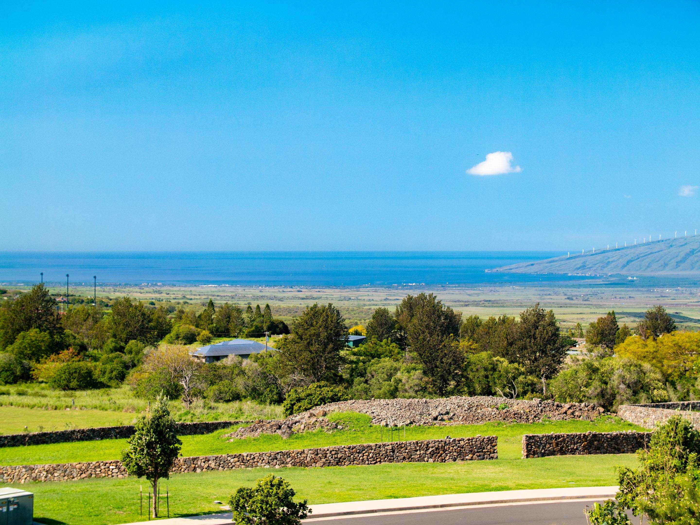 197 Lei Ohu Cir Property Photo 39