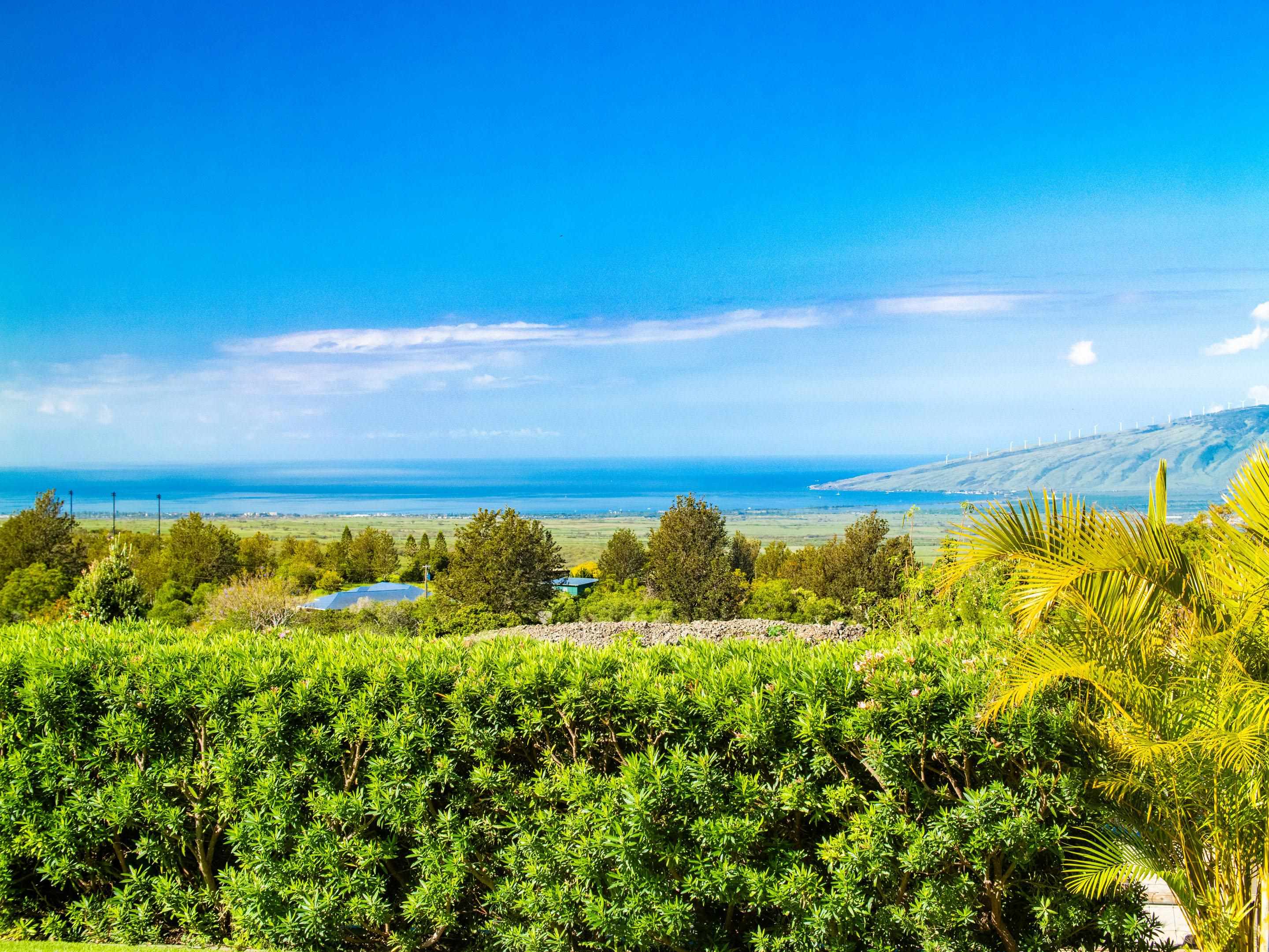 197 Lei Ohu Cir Property Photo 48