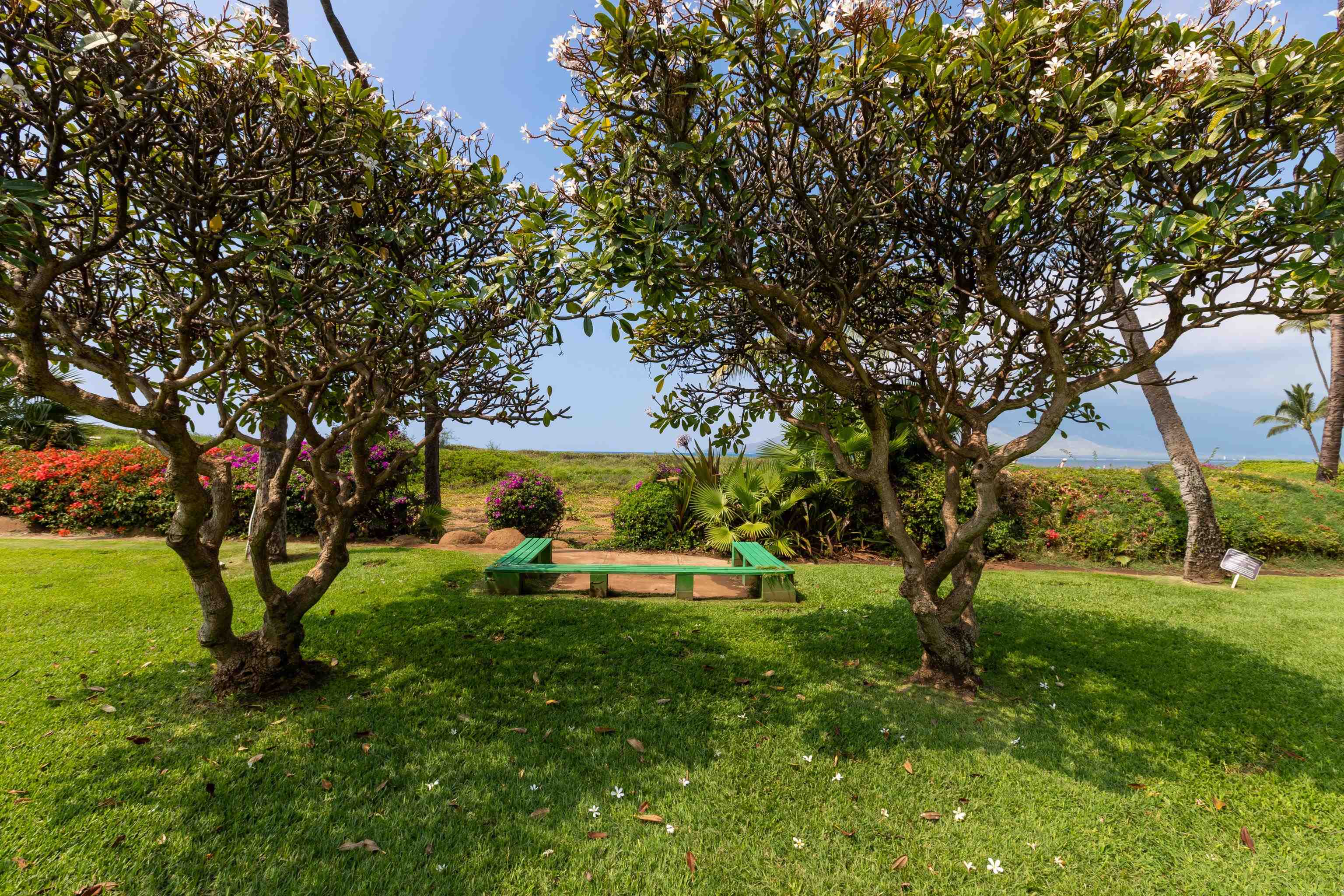 800 S Kihei Rd Property Photo 37