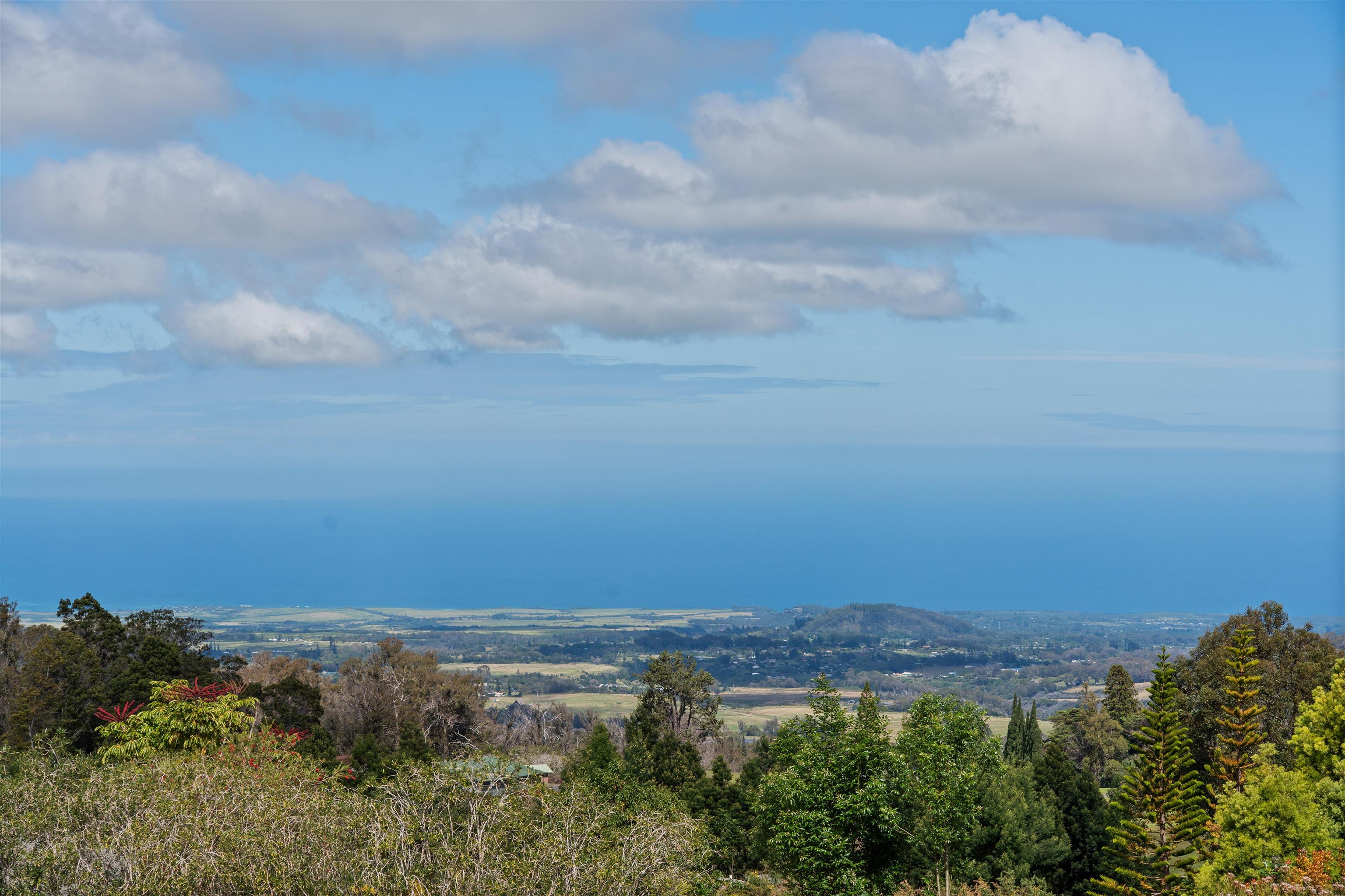 61 Naniuka Pl Property Photo 4