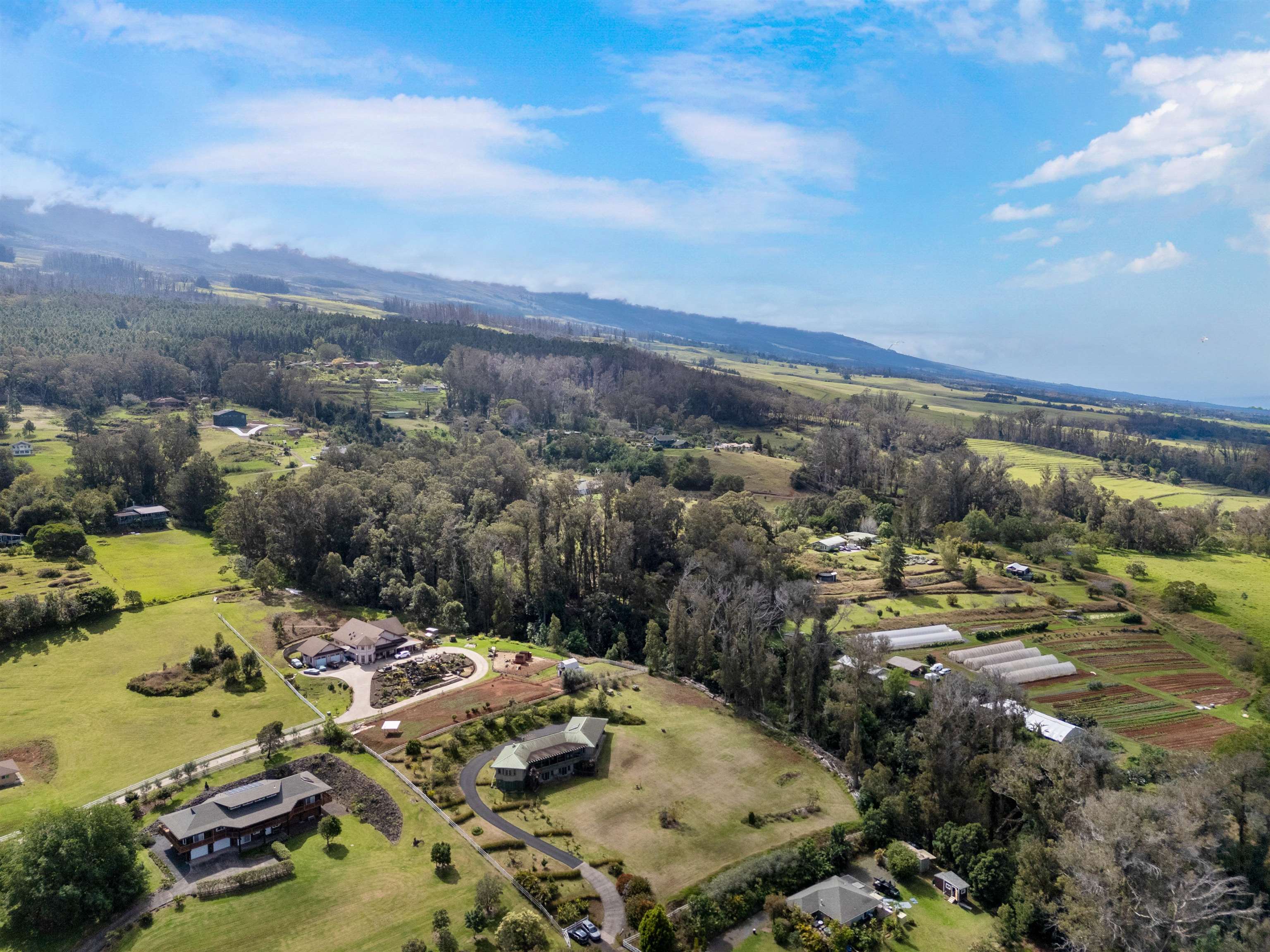 61 Naniuka Pl Property Photo 39