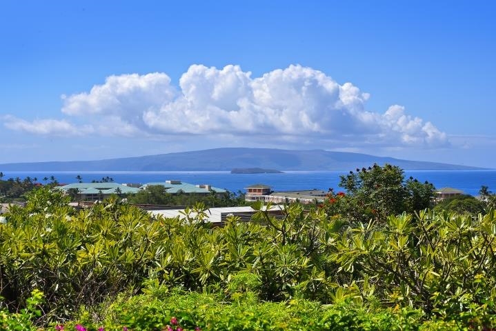 10 Wailea Ekolu Pl Property Photo 3