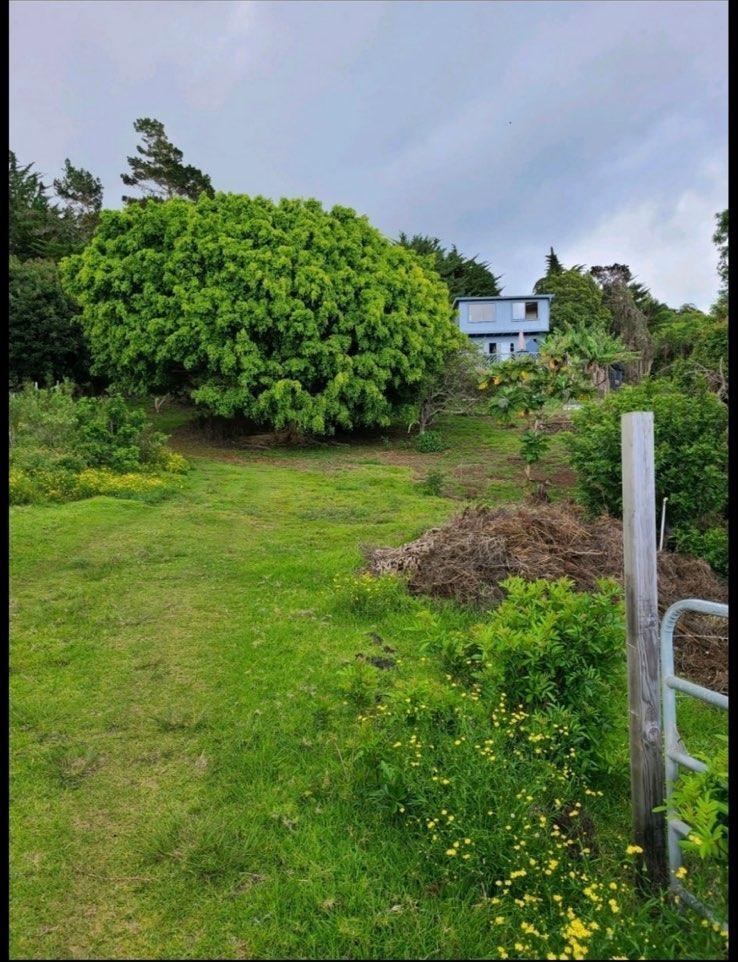 2239 Upper Kanaio Rd Property Photo 23