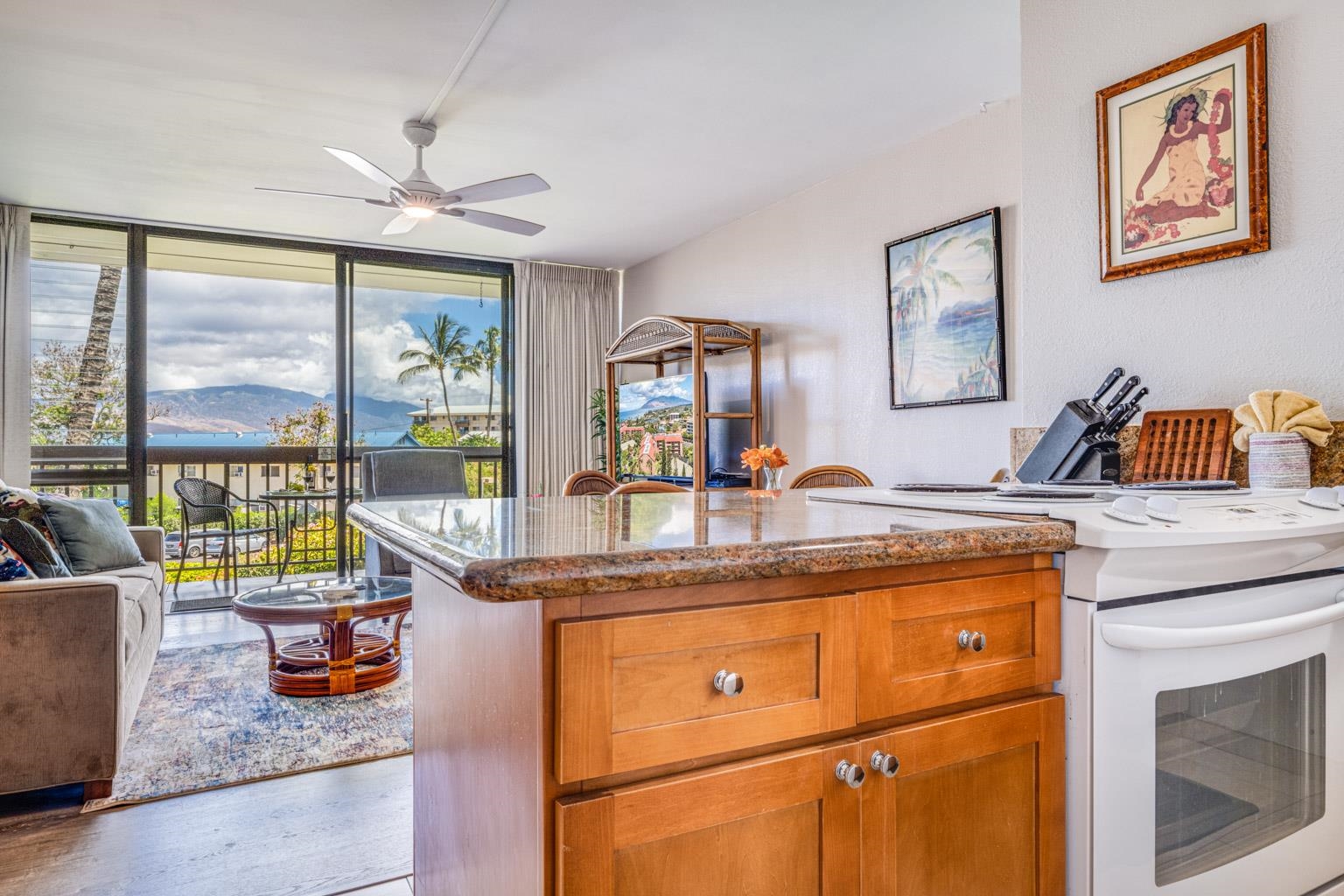 2191 S Kihei Rd Property Photo 6