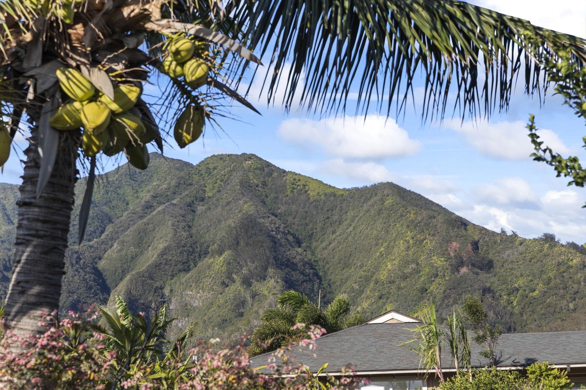 115 Kumula'au Ohia Loop Property Photo 38
