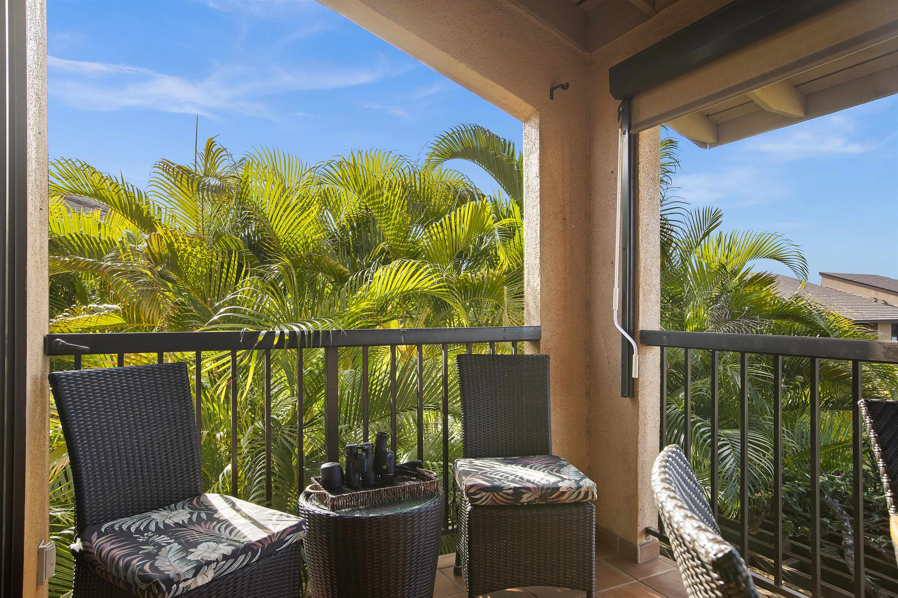 3300 Wailea Alanui Dr Property Photo 33