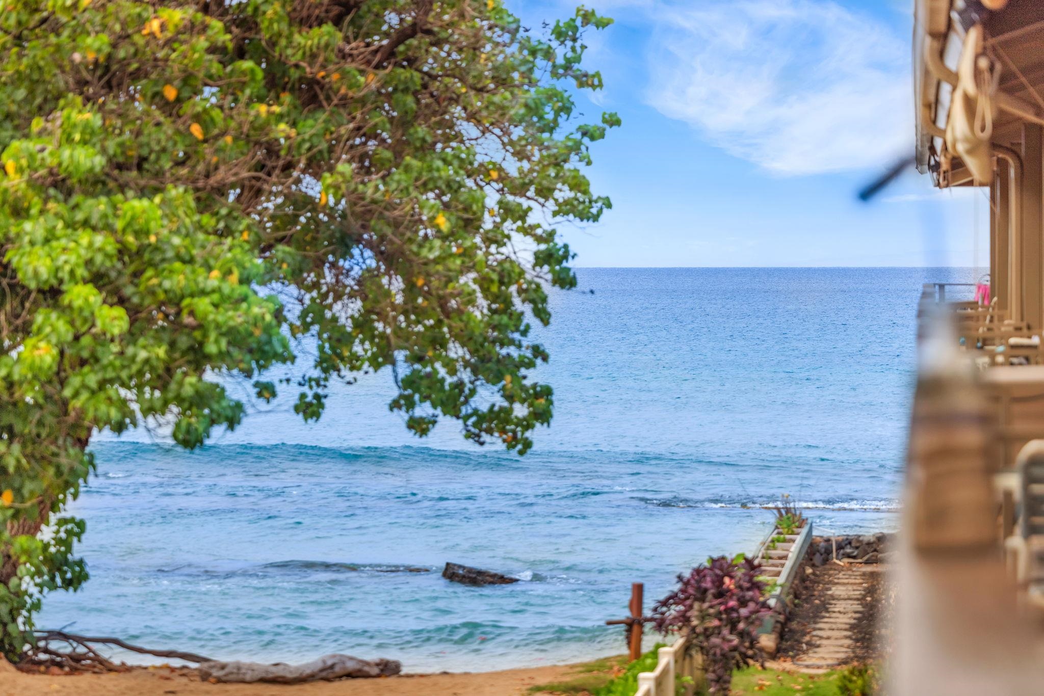 3691 Lower Honoapiilani Rd Property Photo 33