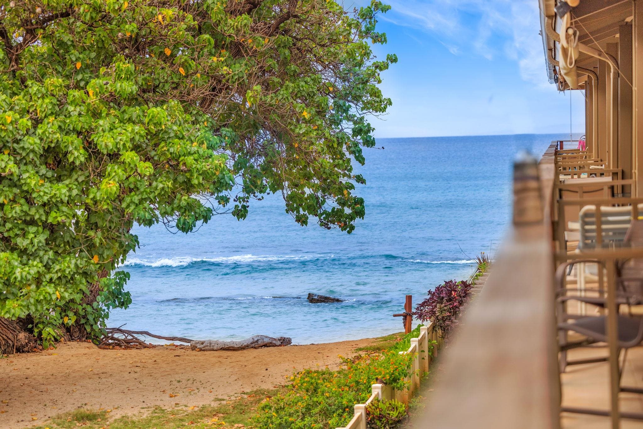 3691 Lower Honoapiilani Rd Property Photo 34