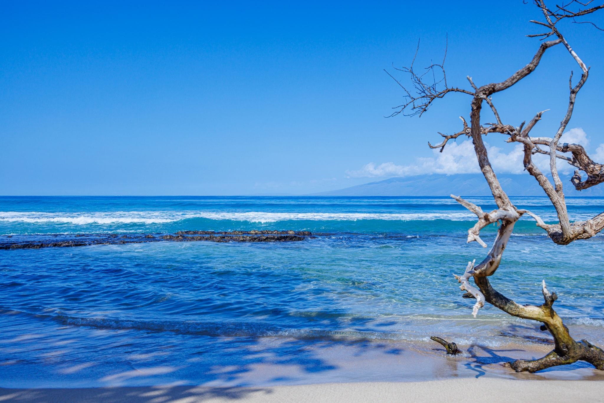 3691 Lower Honoapiilani Rd Property Photo 43