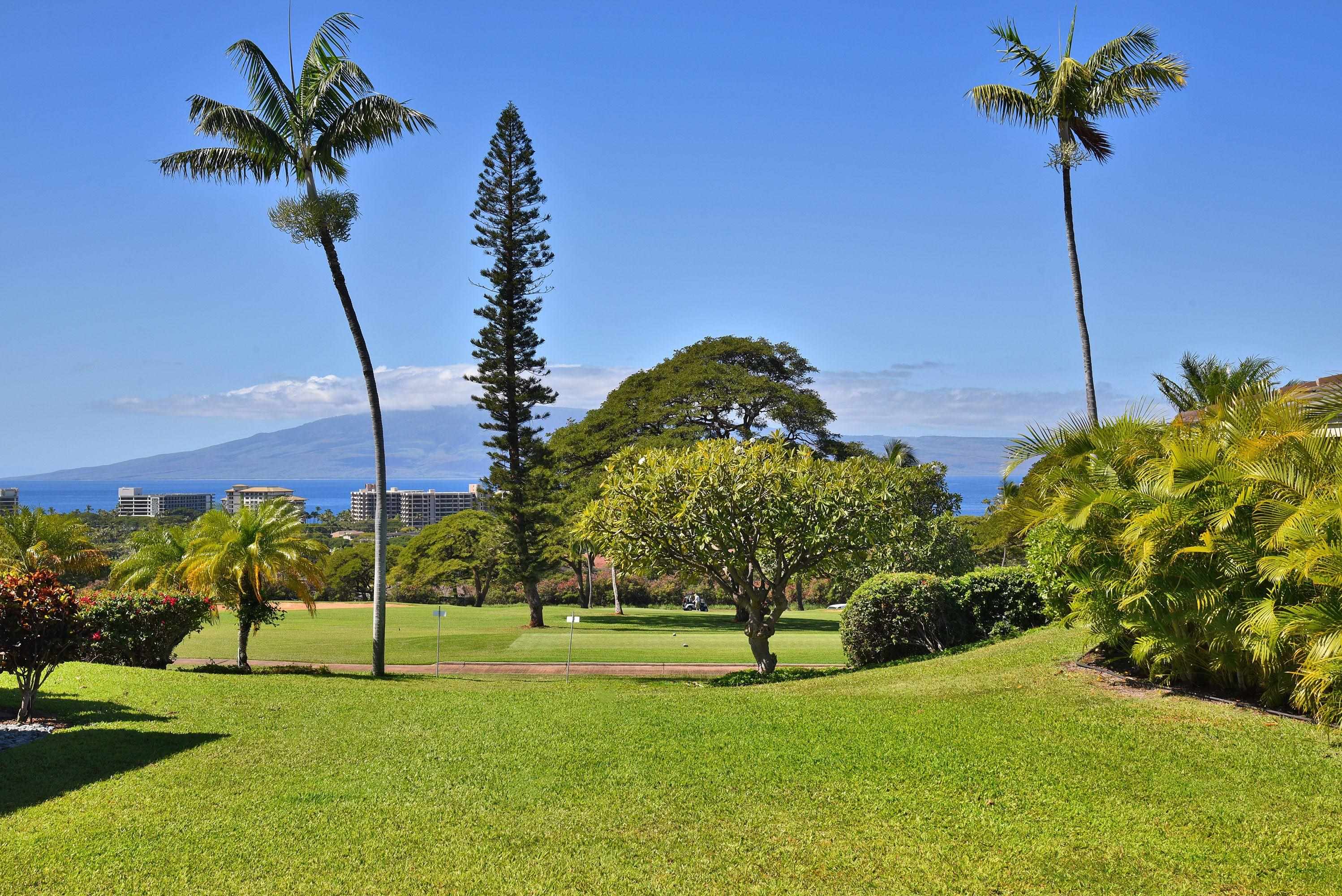 The Vintage At Kaanapali Real Estate Listings Main Image