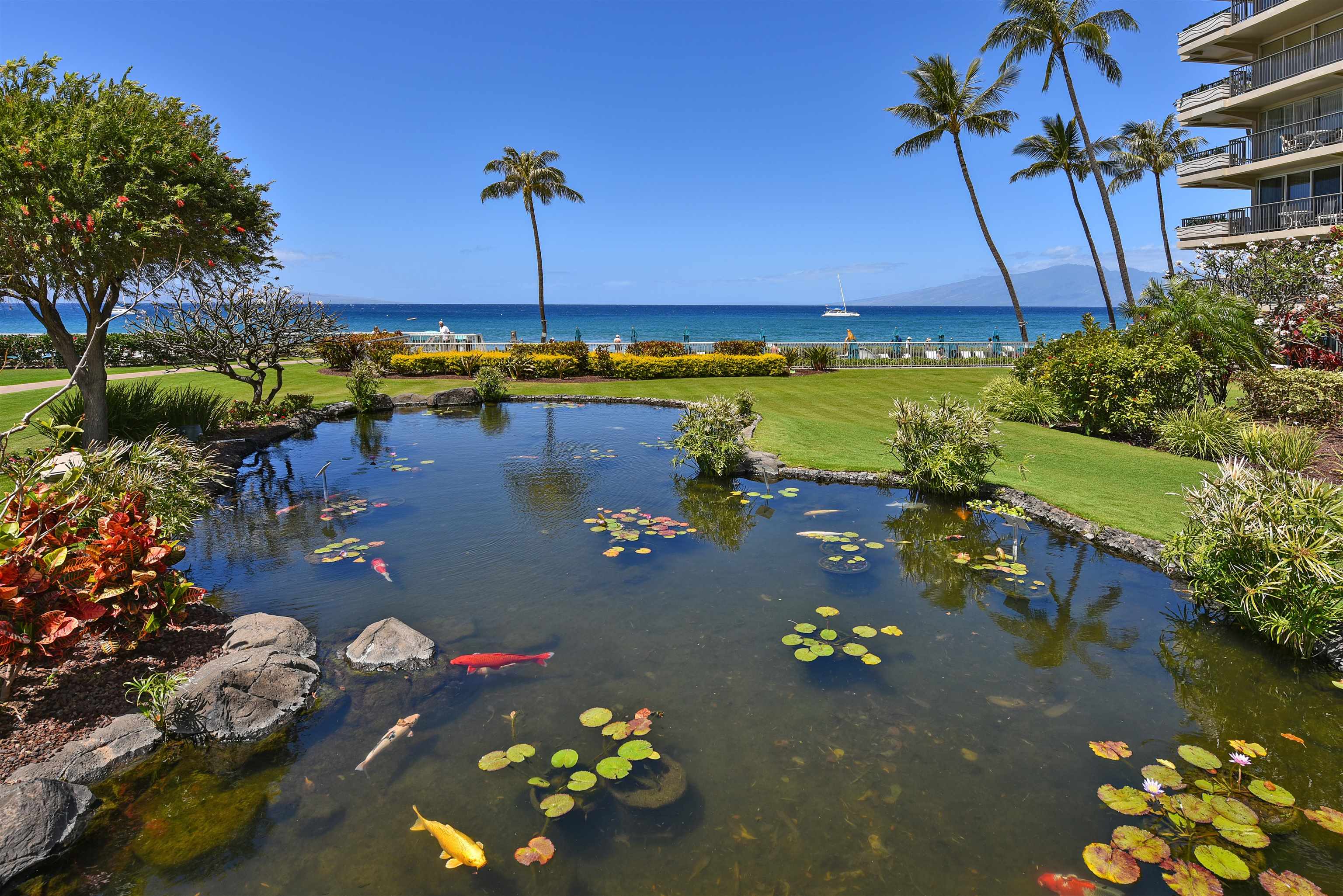 2481 Kaanapali Pkwy Property Photo 34