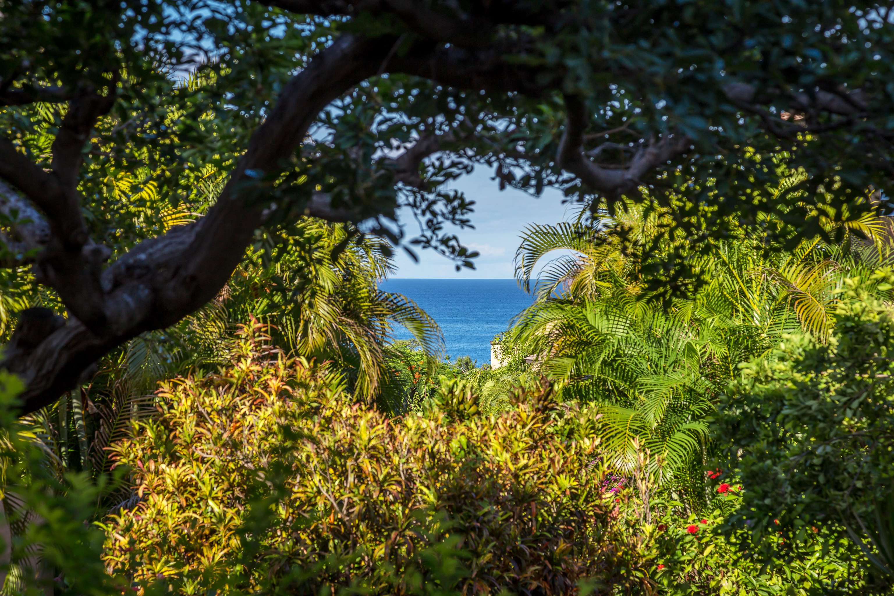3300 Wailea Alanui Dr Property Photo 8