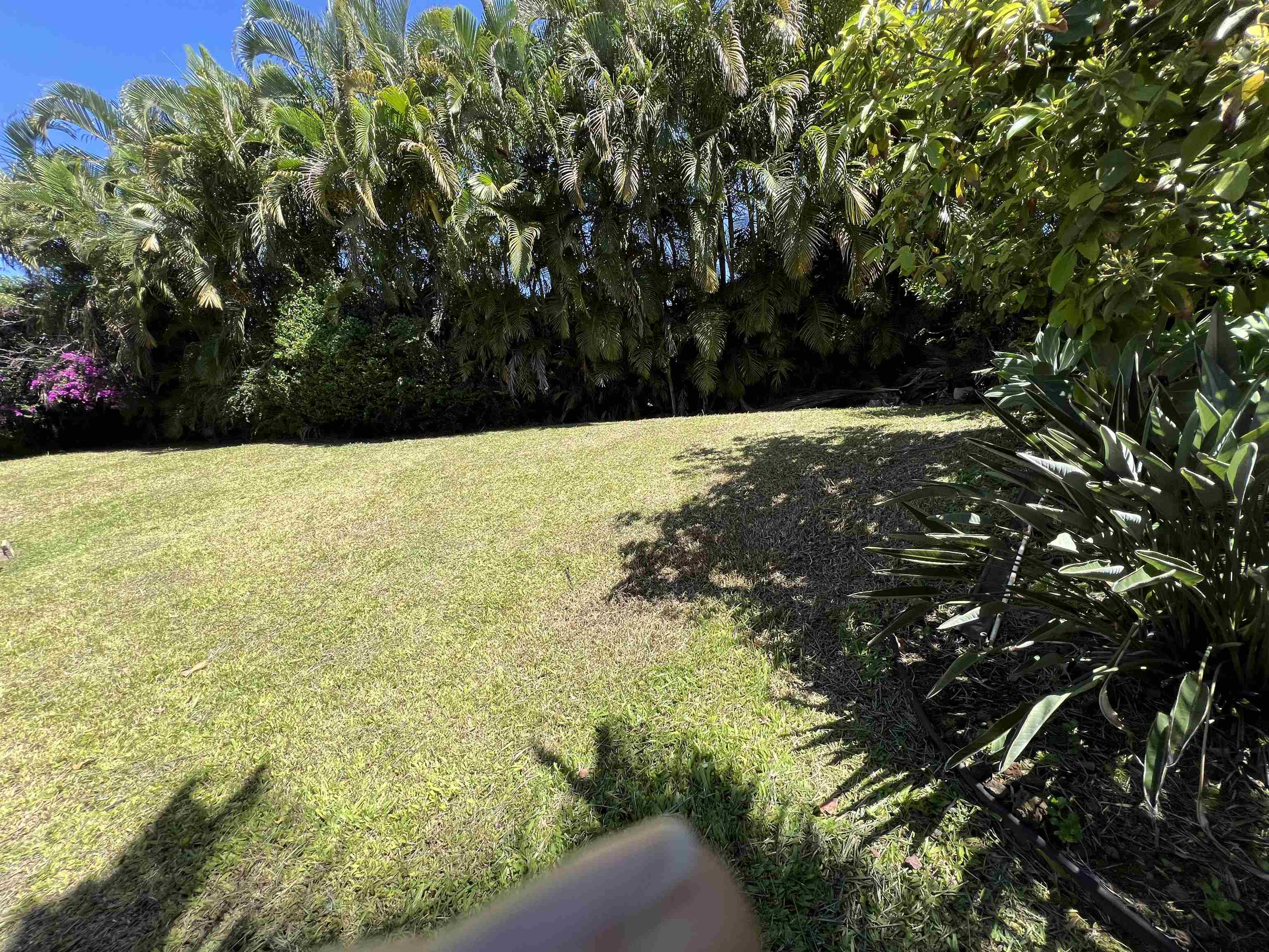 221 E Ikea Kai Pl Property Photo 28