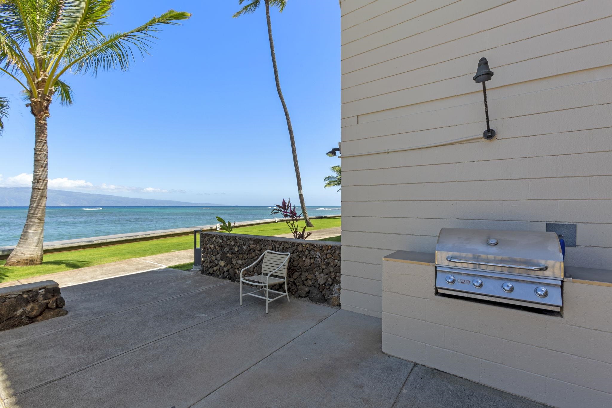 4471 Lower Honoapiilani Rd Property Photo 27