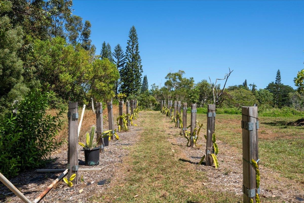 1205 W Kuiaha Rd Property Photo 36