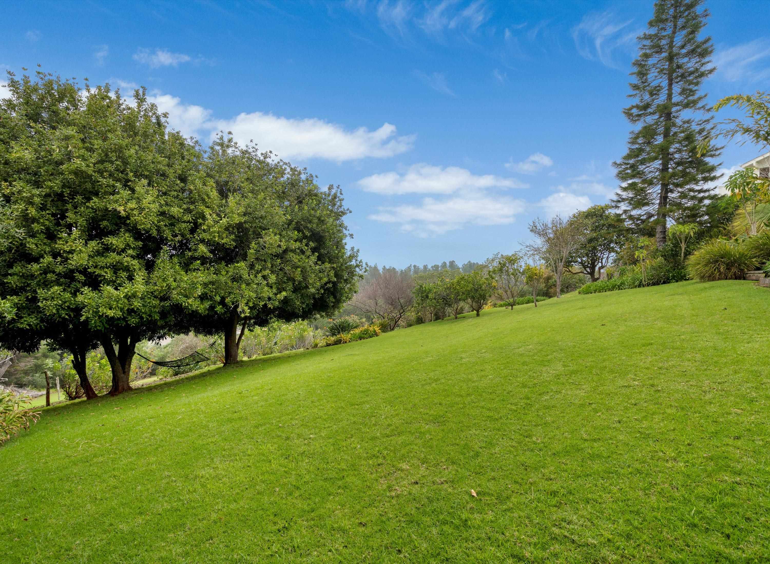 2611 Olinda Rd Property Photo 44