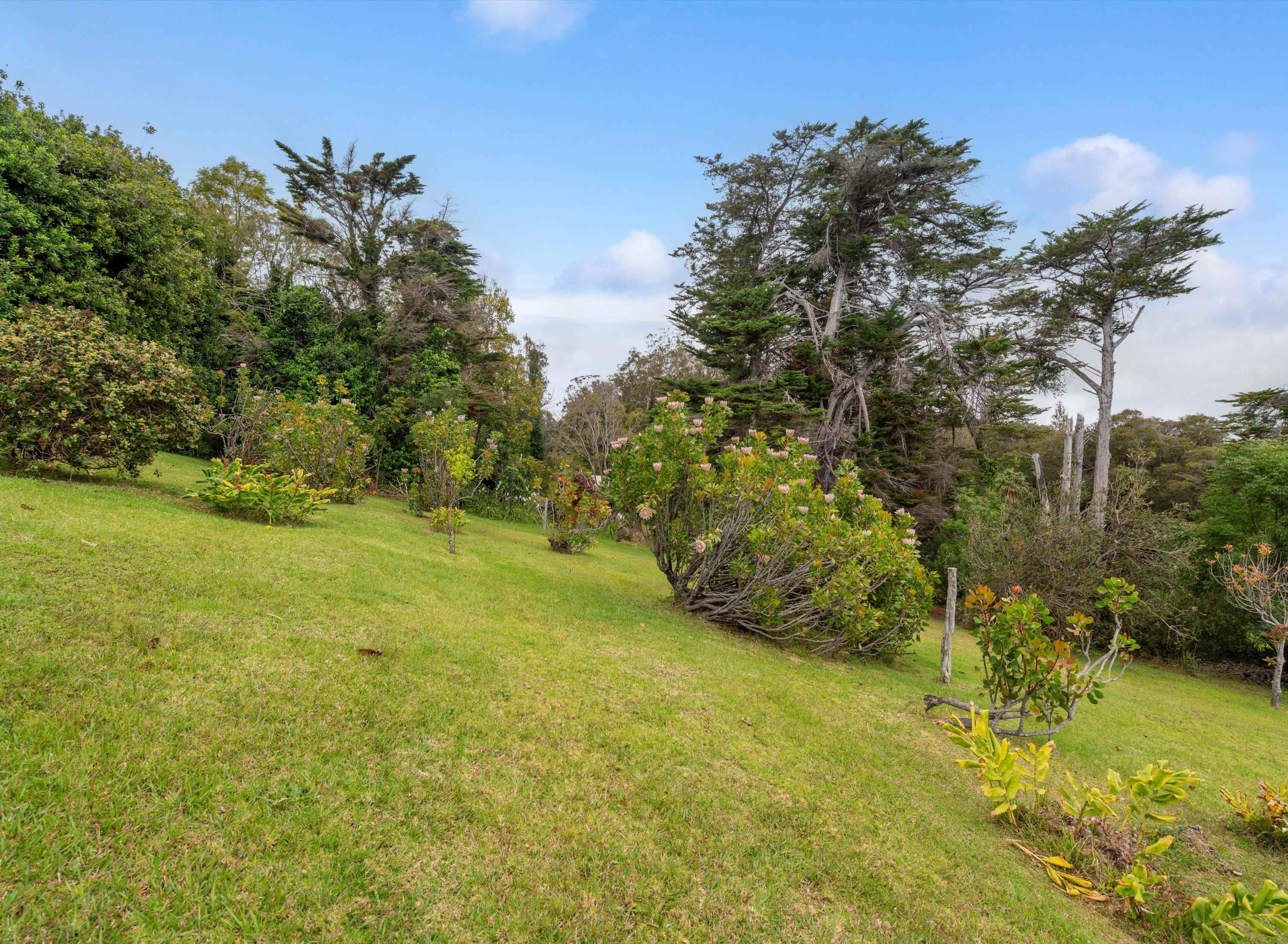 2611 Olinda Rd Property Photo 46