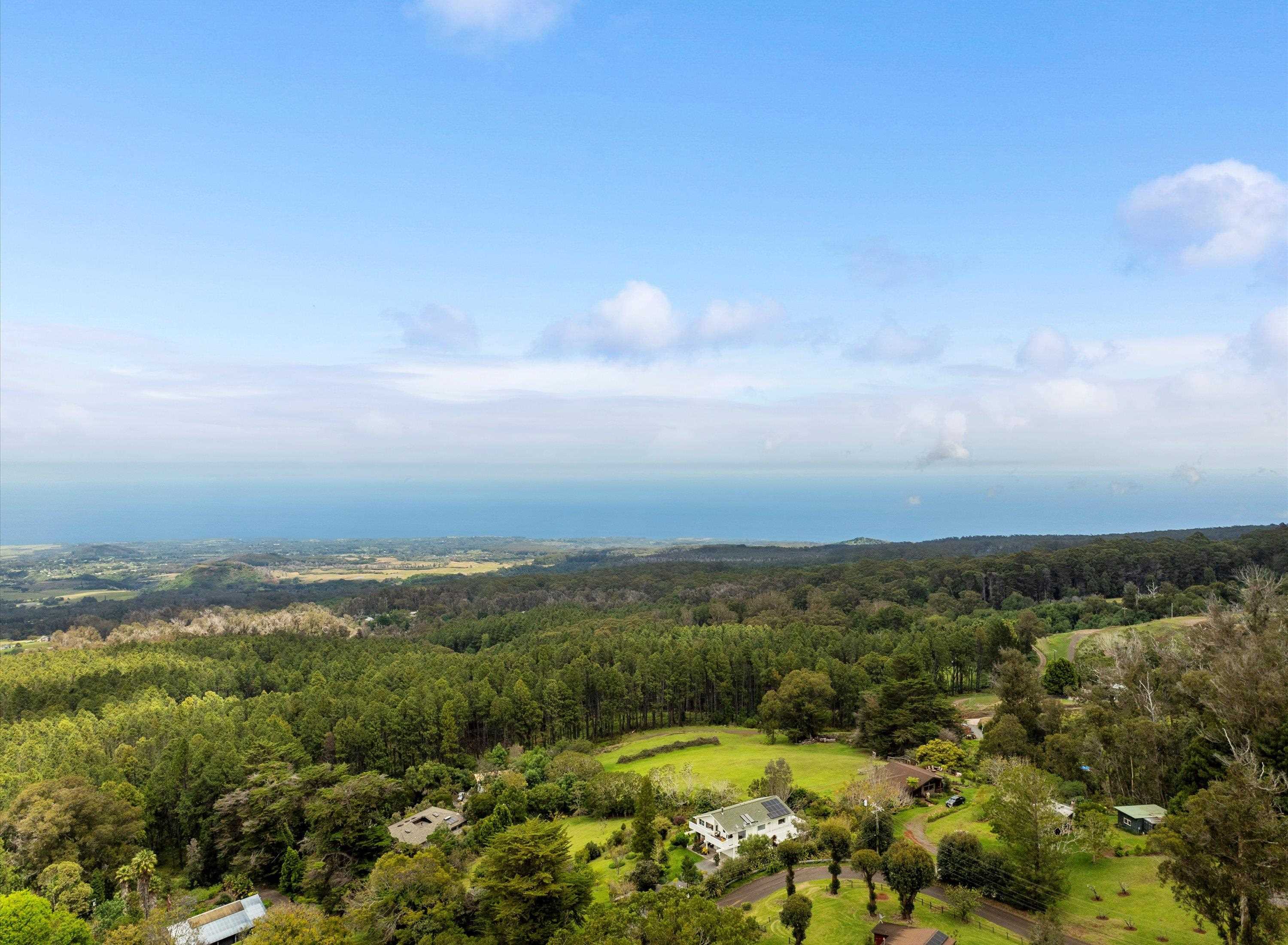2611 Olinda Rd Property Photo 47