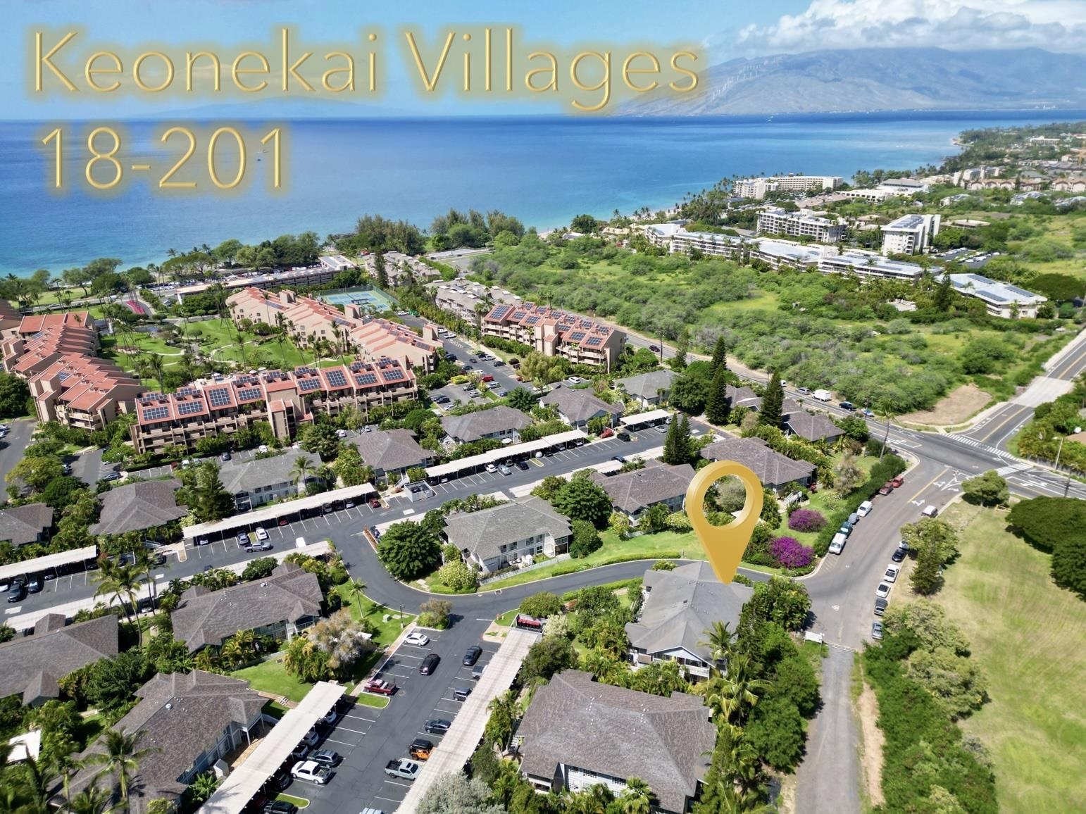 160 Keonekai Rd Property Photo 1