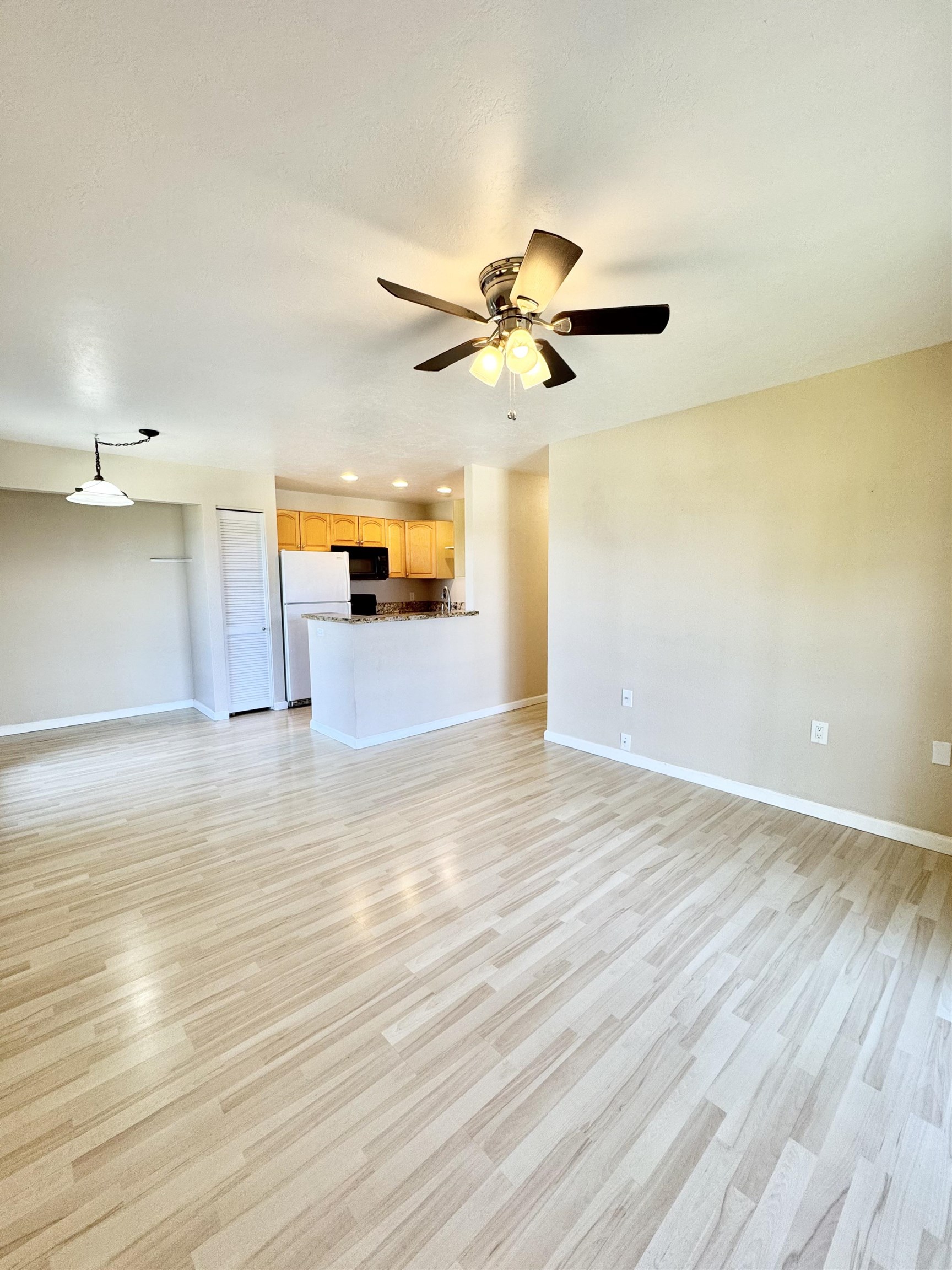 160 Keonekai Rd Property Photo 7
