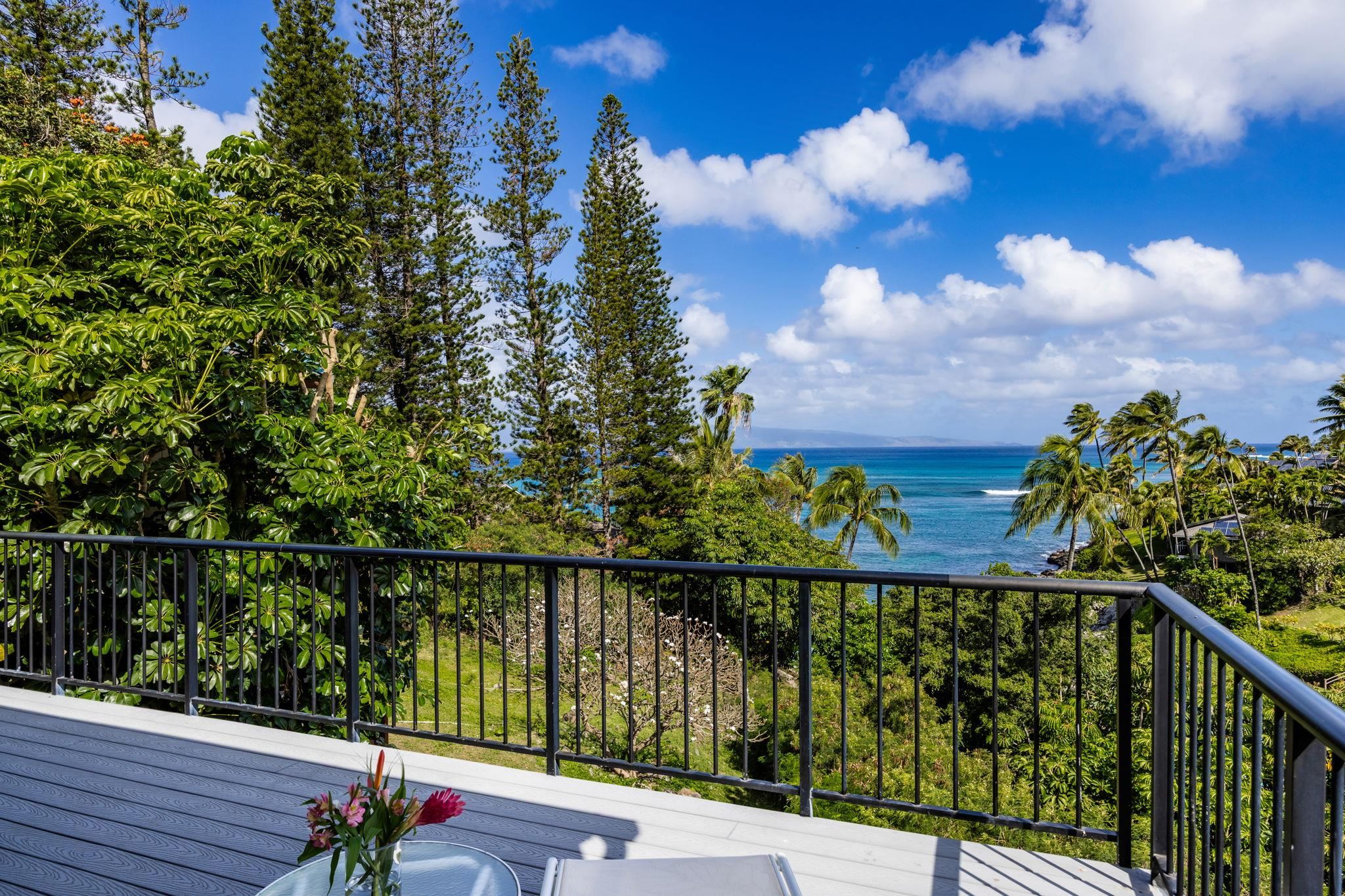 5045 Lower Honoapiilani Rd Property Photo 4