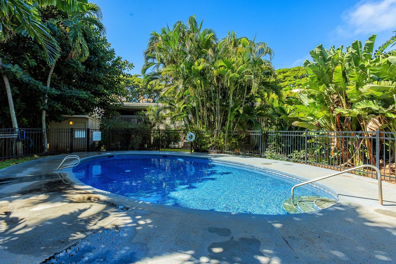 4435 Lower Honoapiilani Rd Property Photo 31