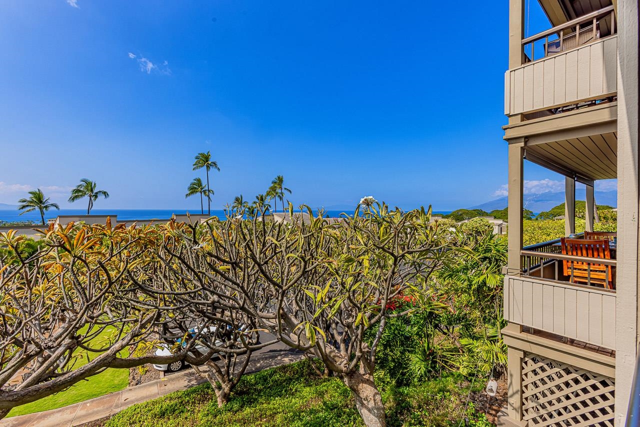 10 Wailea Ekolu Pl Property Photo 22