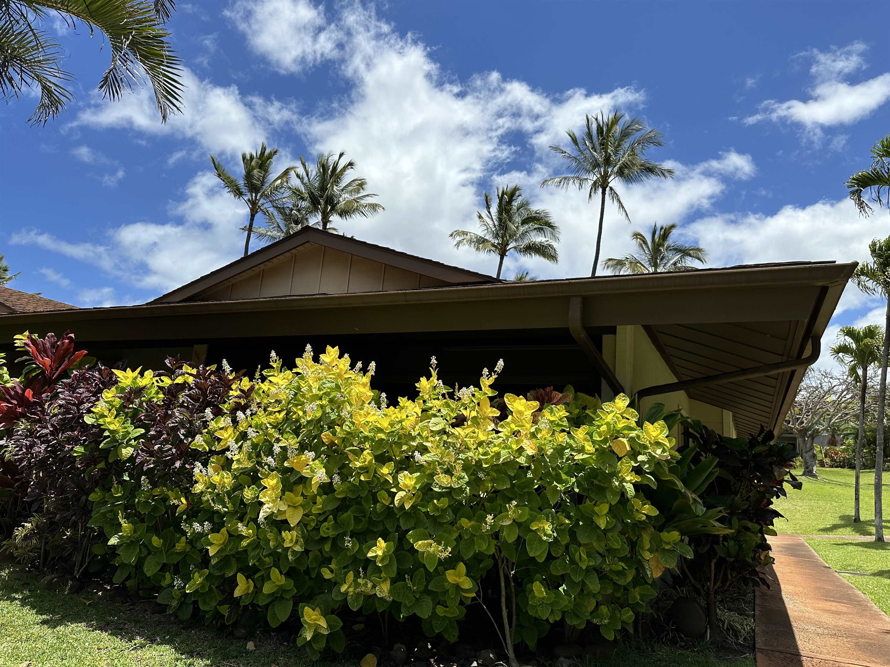 3788 Lower Honoapi'ilani Rd Property Photo 15