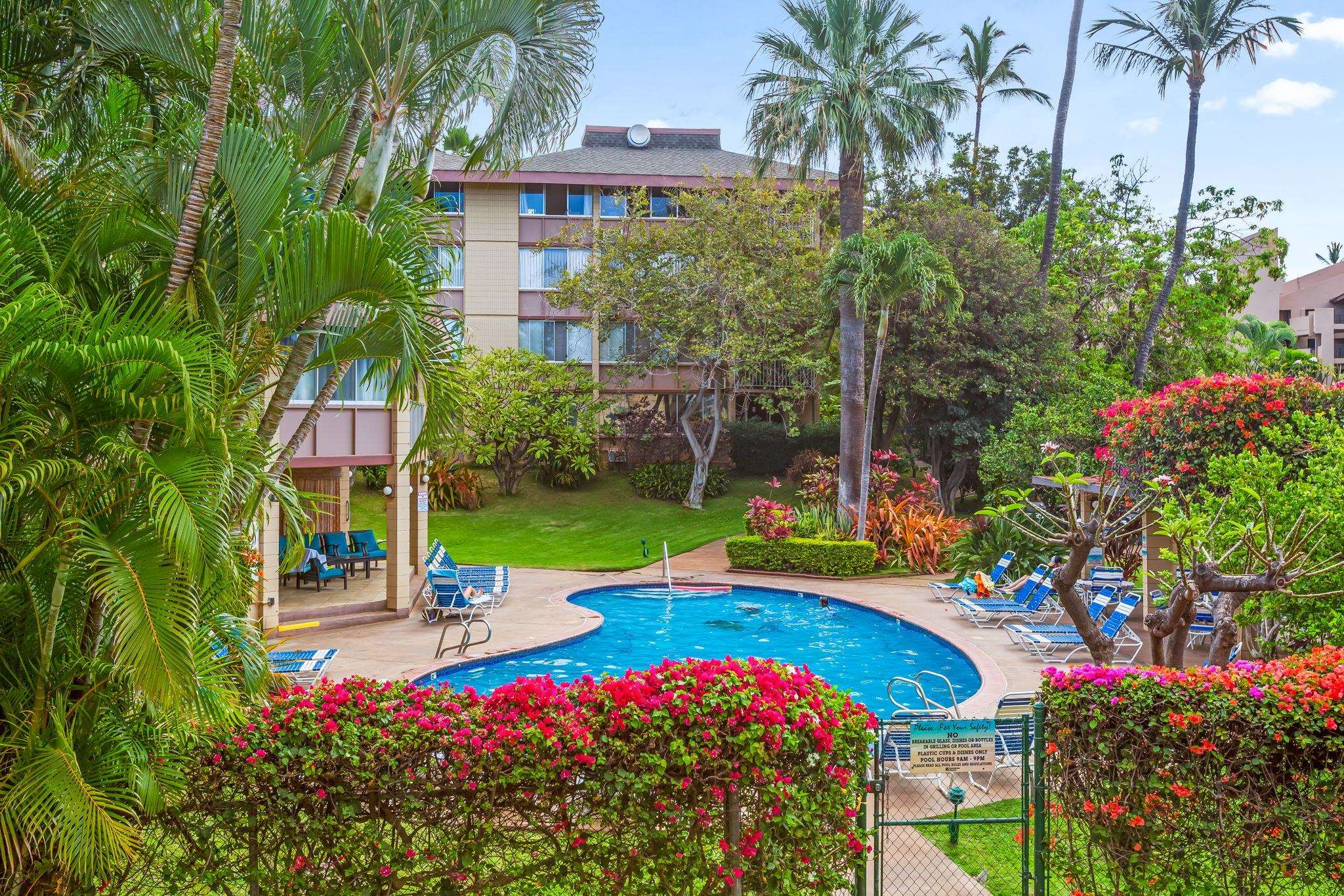 2619 S Kihei Rd Property Photo 42